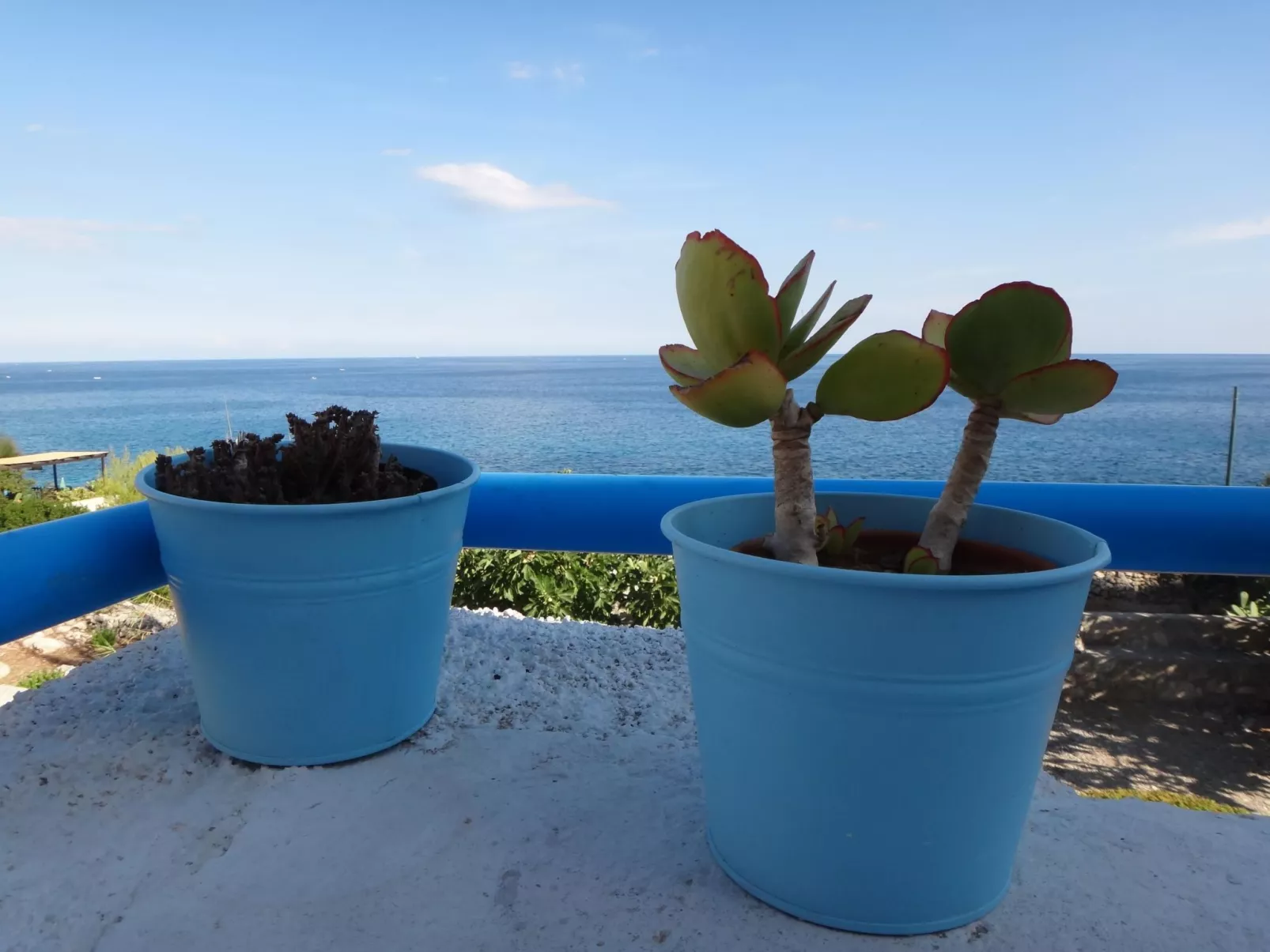 Villa Meris in Castro in Apulien-Image-tags.info