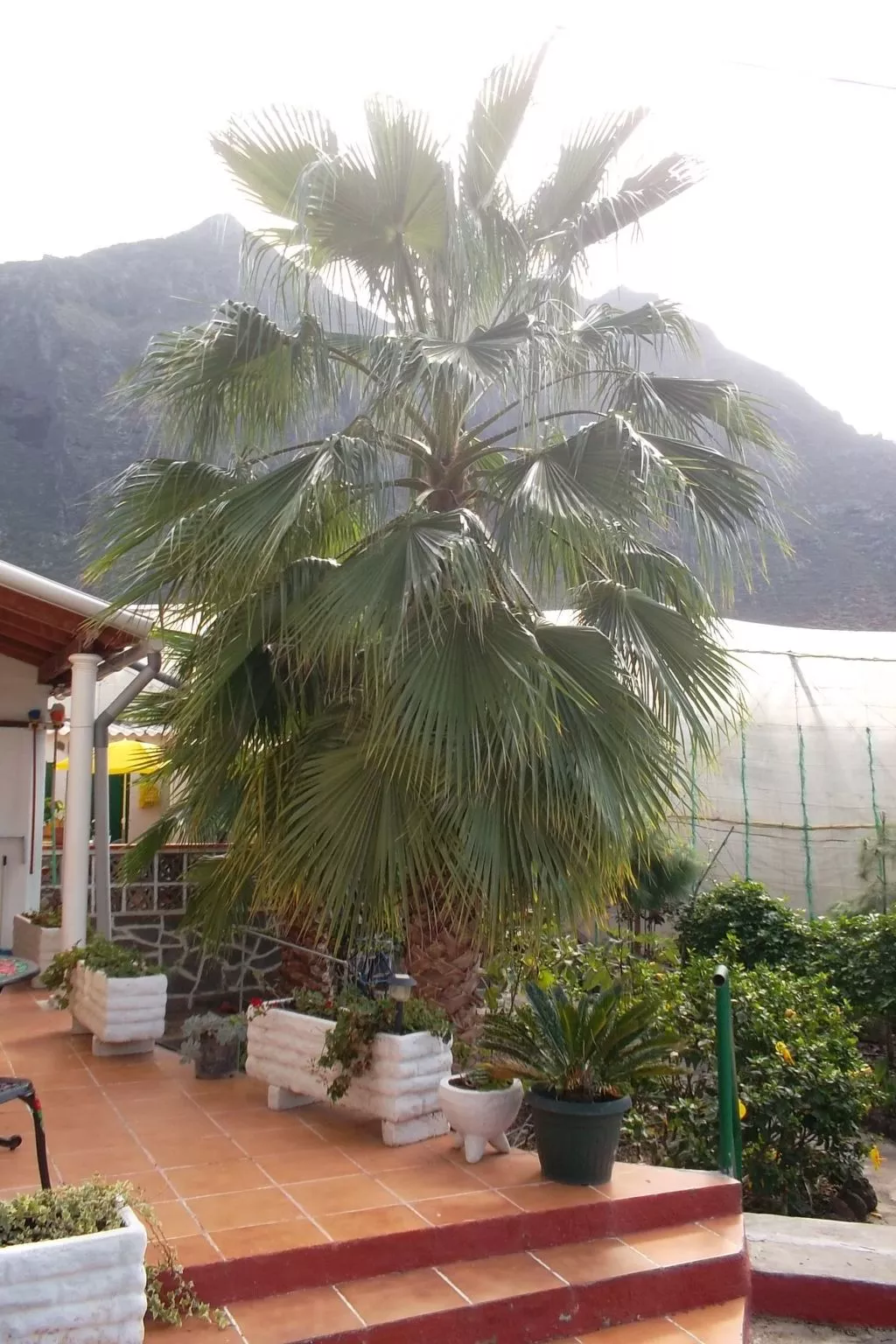 Haus El Cardón B2-Buiten