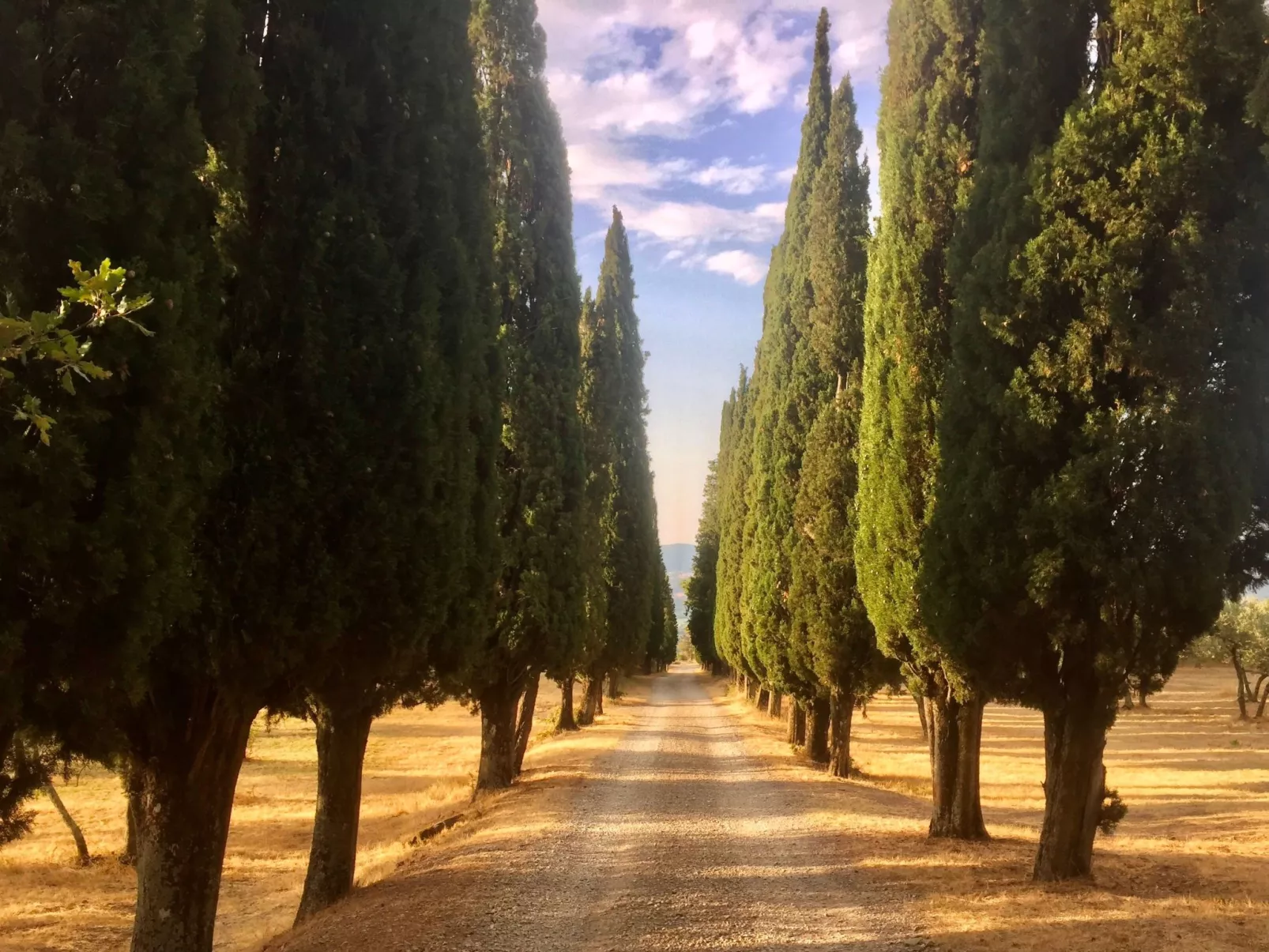 Anwesen mit Terrasse-Image-tags.info