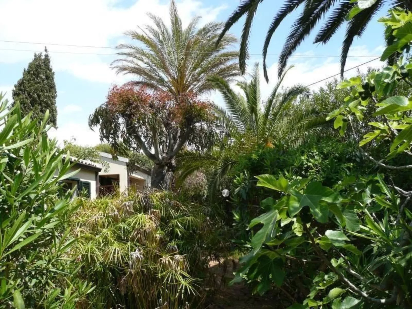 Schöner Bungalow direkt am Sandstrand auf Sizilien-Image-tags.info