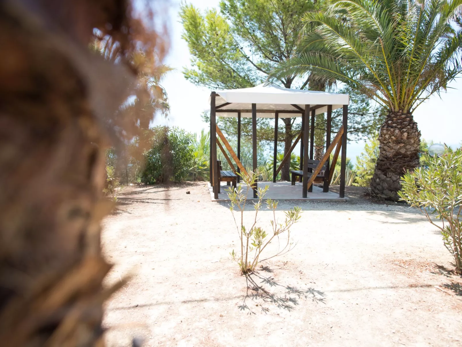 Wohnung in Sciacca mit internem Parkplatz-Image-tags.info