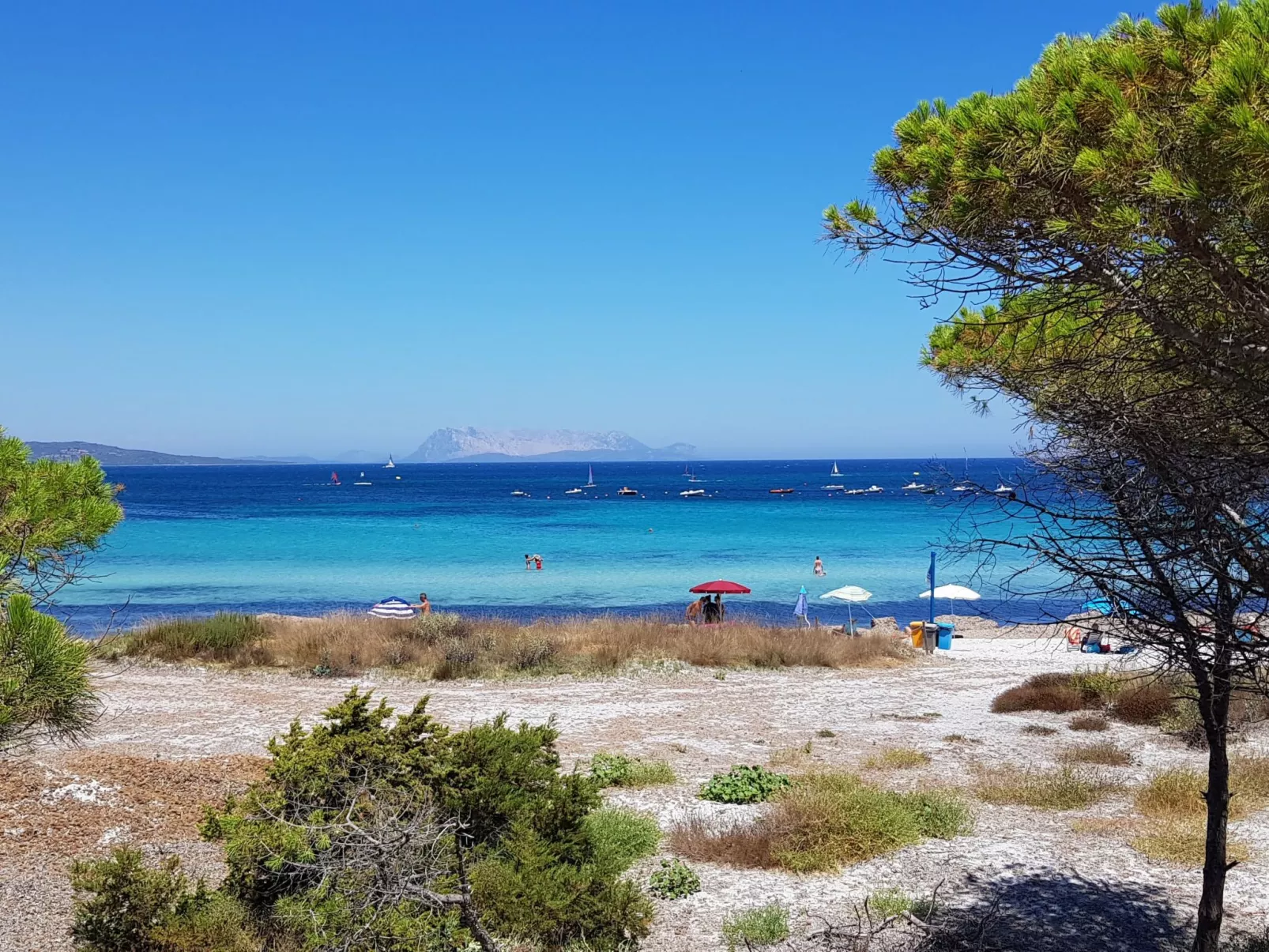 Mit Wasserblick-Omgeving