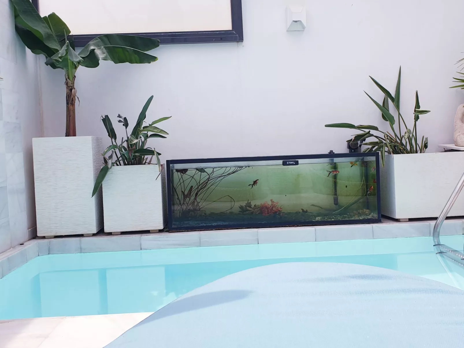 Casa Marysol mit Pool und Terrasse in Strandnähe