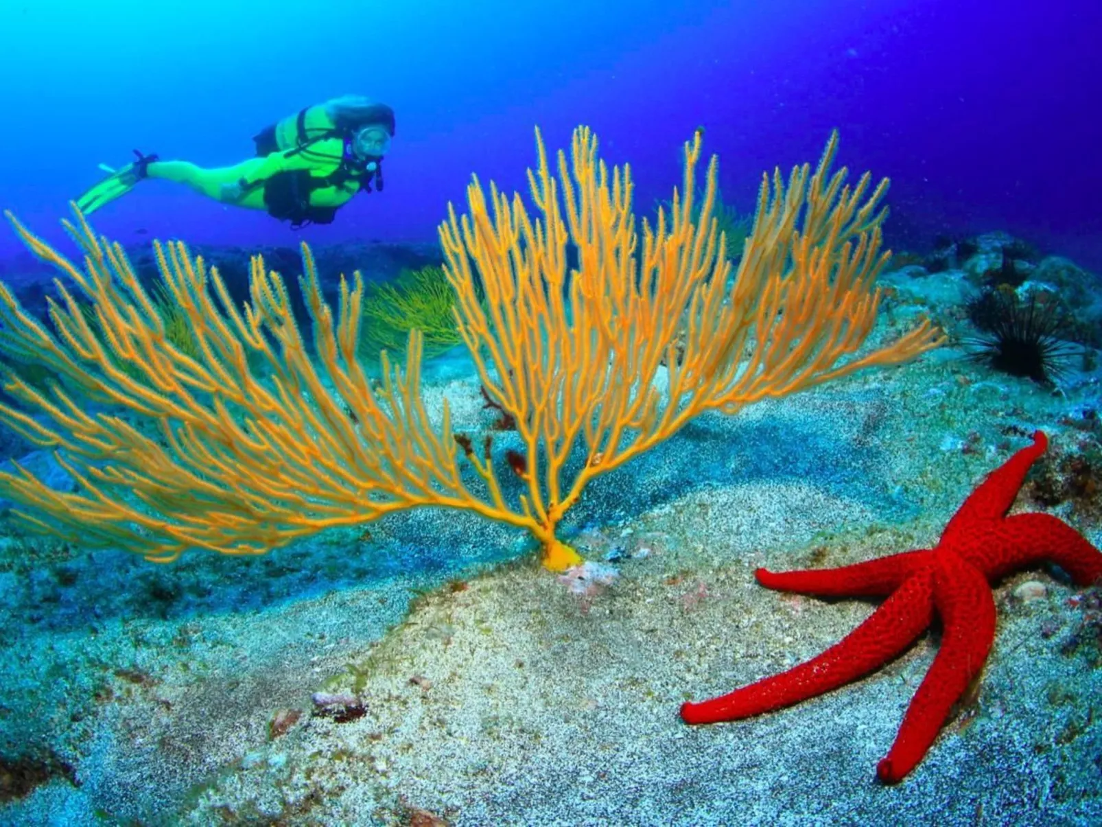 Wohnung "Faro de Sardina" mit Blick aufs Wasser-Image-tags.info