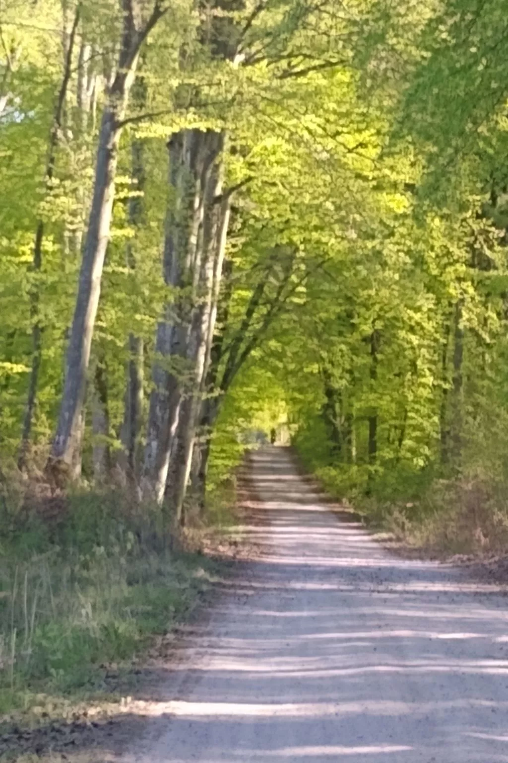 Vogelecke - abseits des Trubels und der Hektik-Buiten