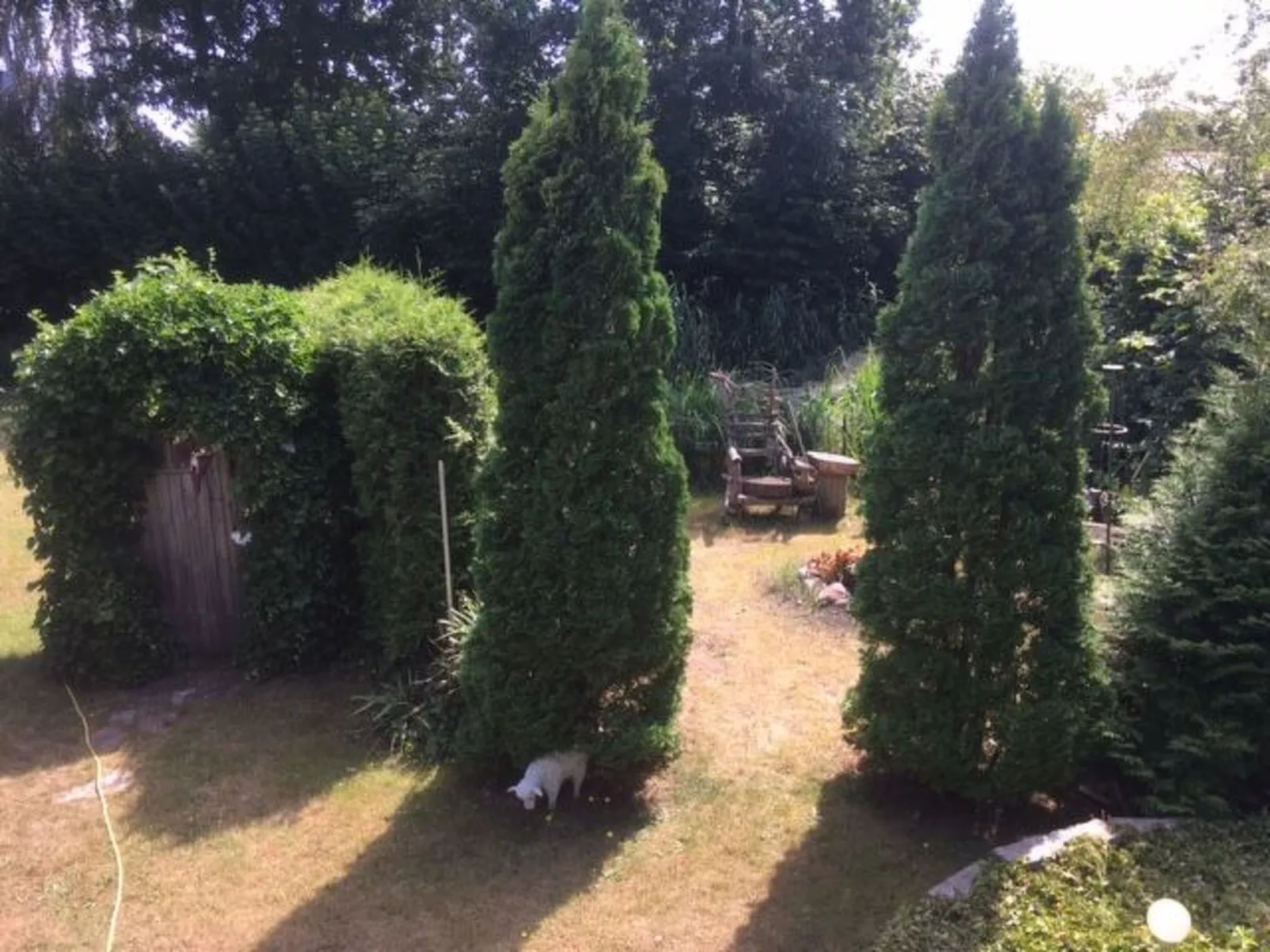 Modernisierte Ferienwohnung mit Balkon-Buiten