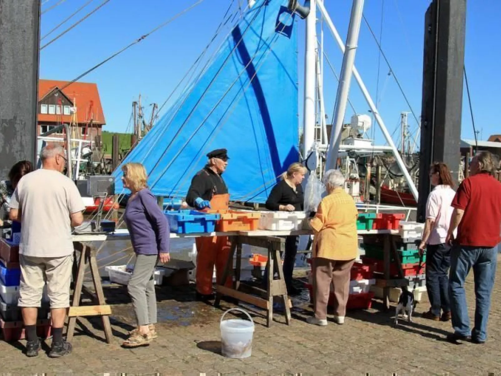 Schwalbennest-Image-tags.info