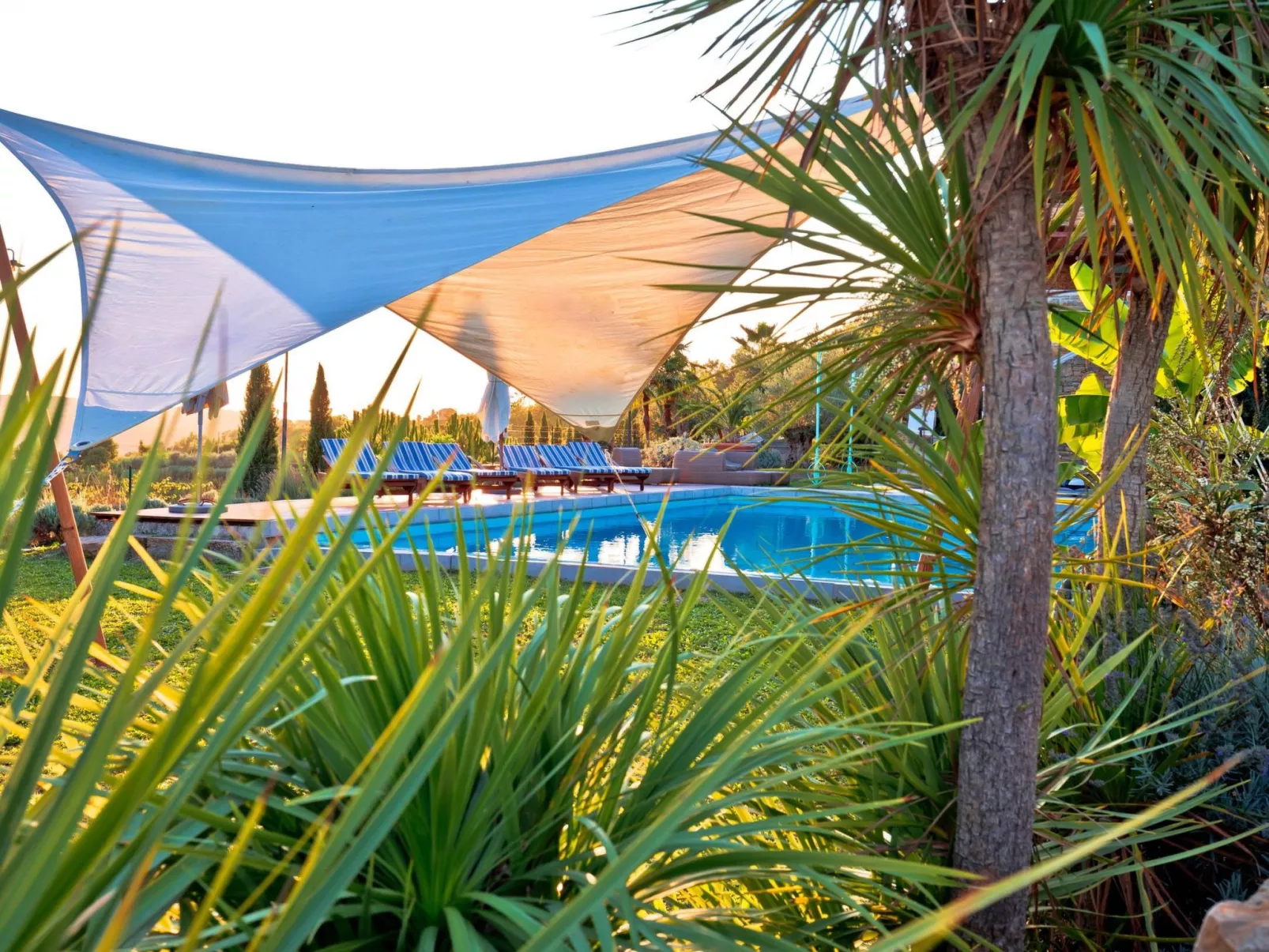 Tolle Villa Sancta Maria Motovun mit Pool