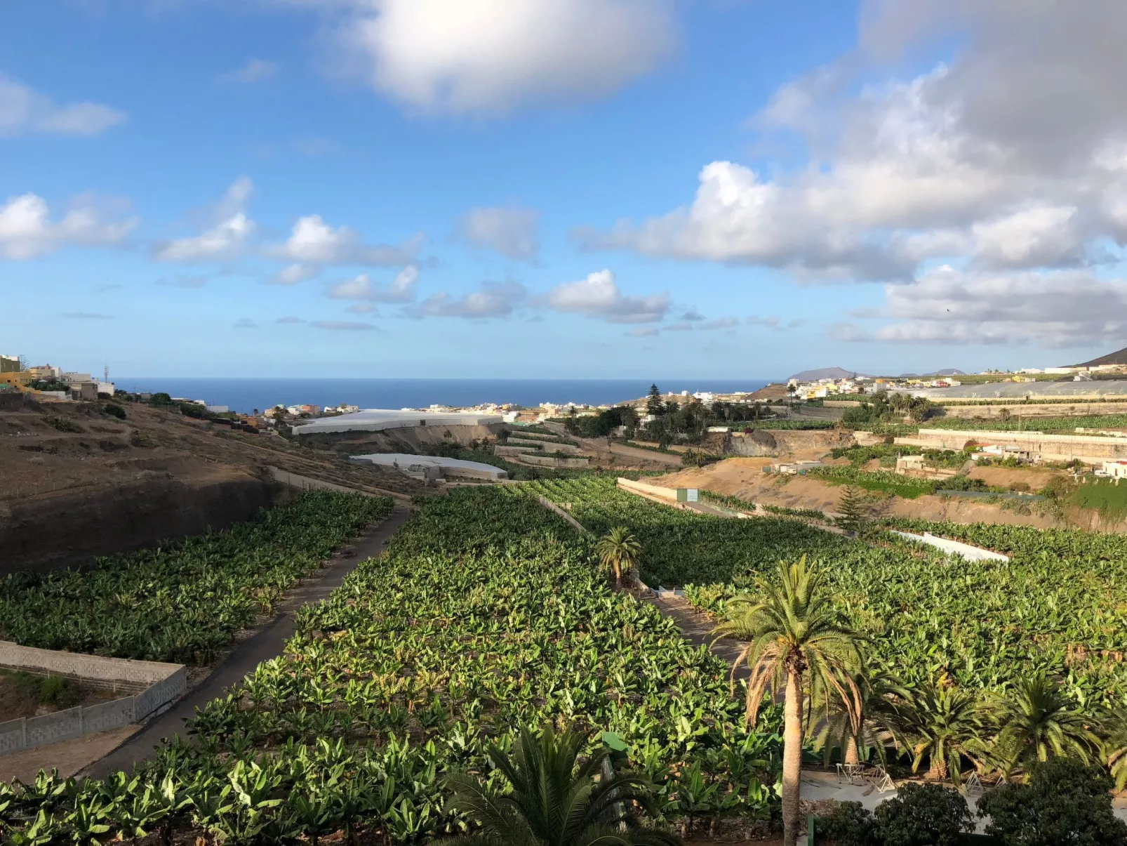 Villa los palmitos Familiäre Privatvilla mit Pool - Buiten