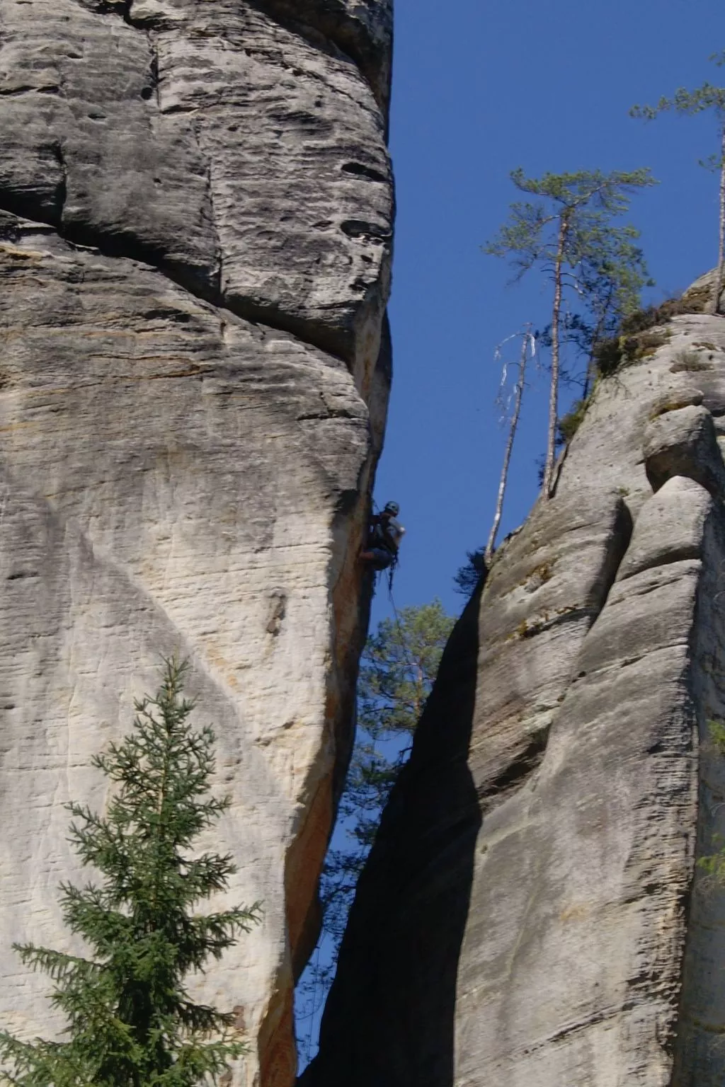 In natürlicher Umgebung-Buiten