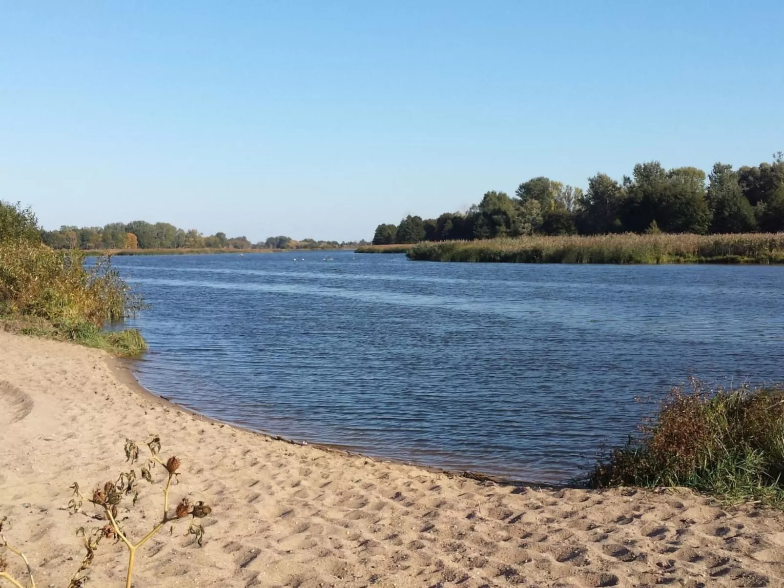 Magnolienhaus mit Sauna und Jacuzzi-Buiten