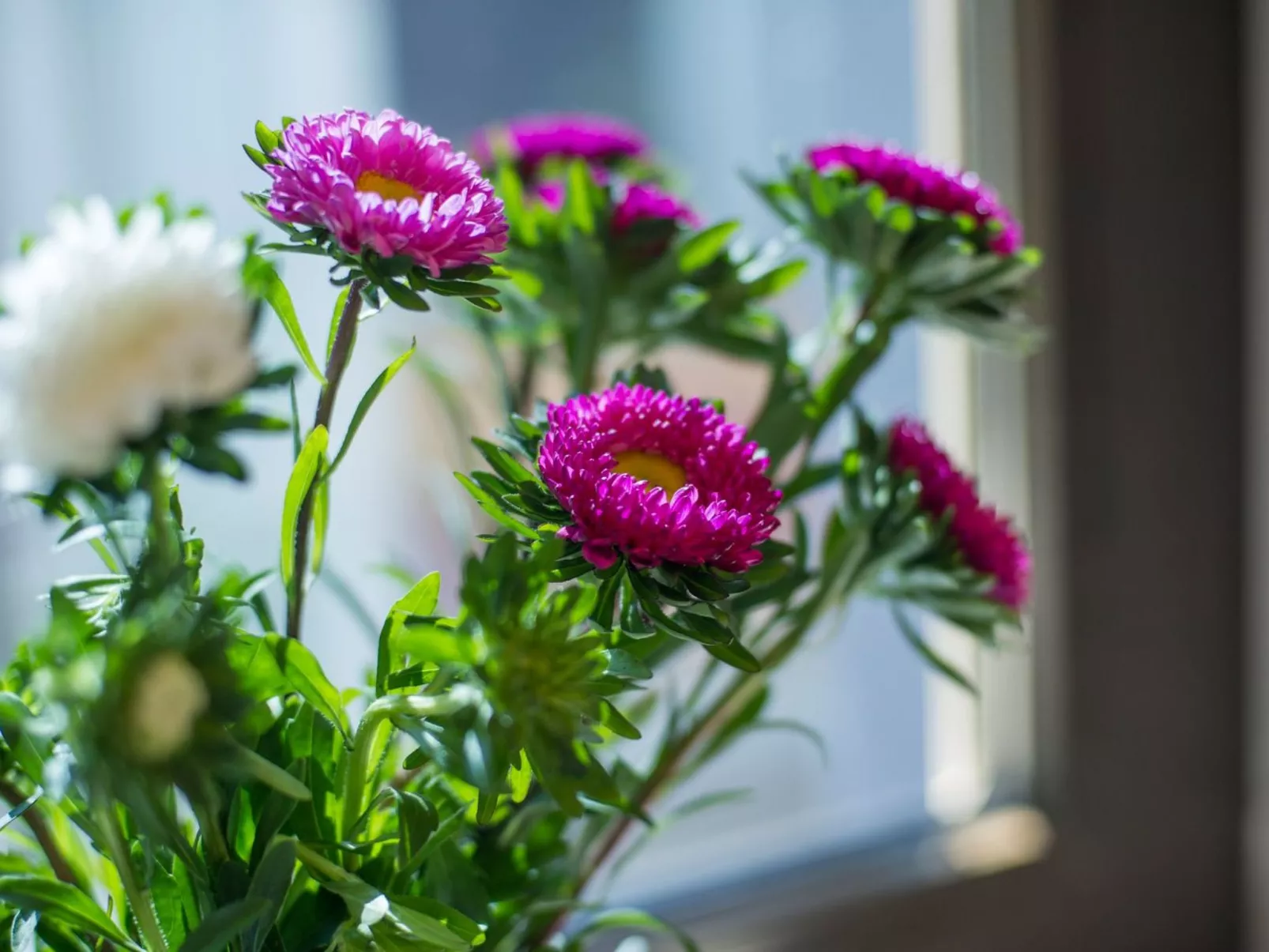 Gemütliches Ferienhaus in Hasenfeld mit Großem Garten-Image-tags.info