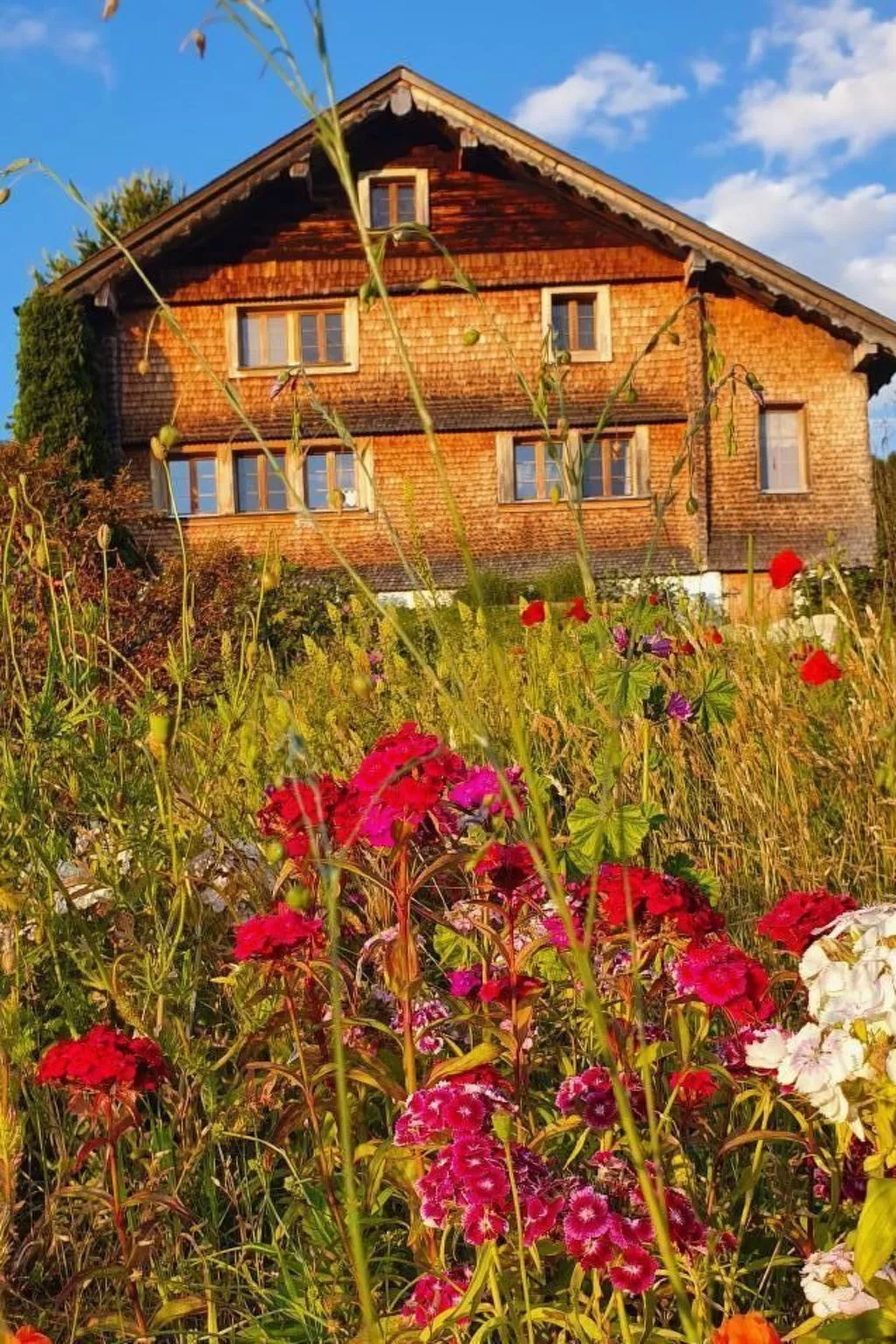 Musikheim-Image-tags.info