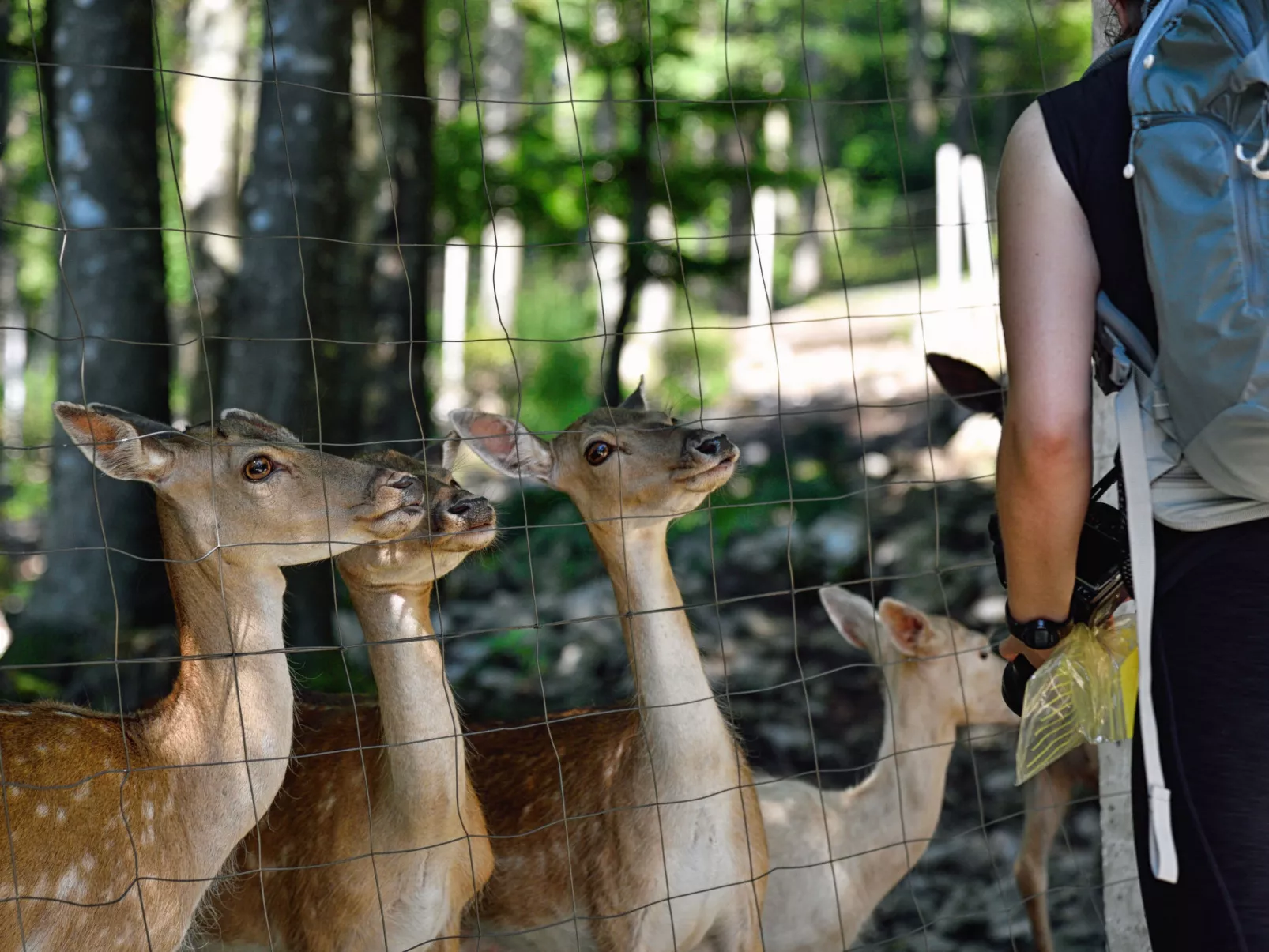Direkt am Strand-Omgeving