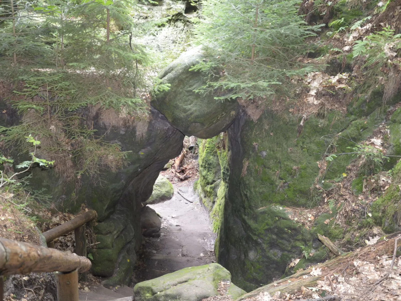 Panoramablick in Königstein-Buiten