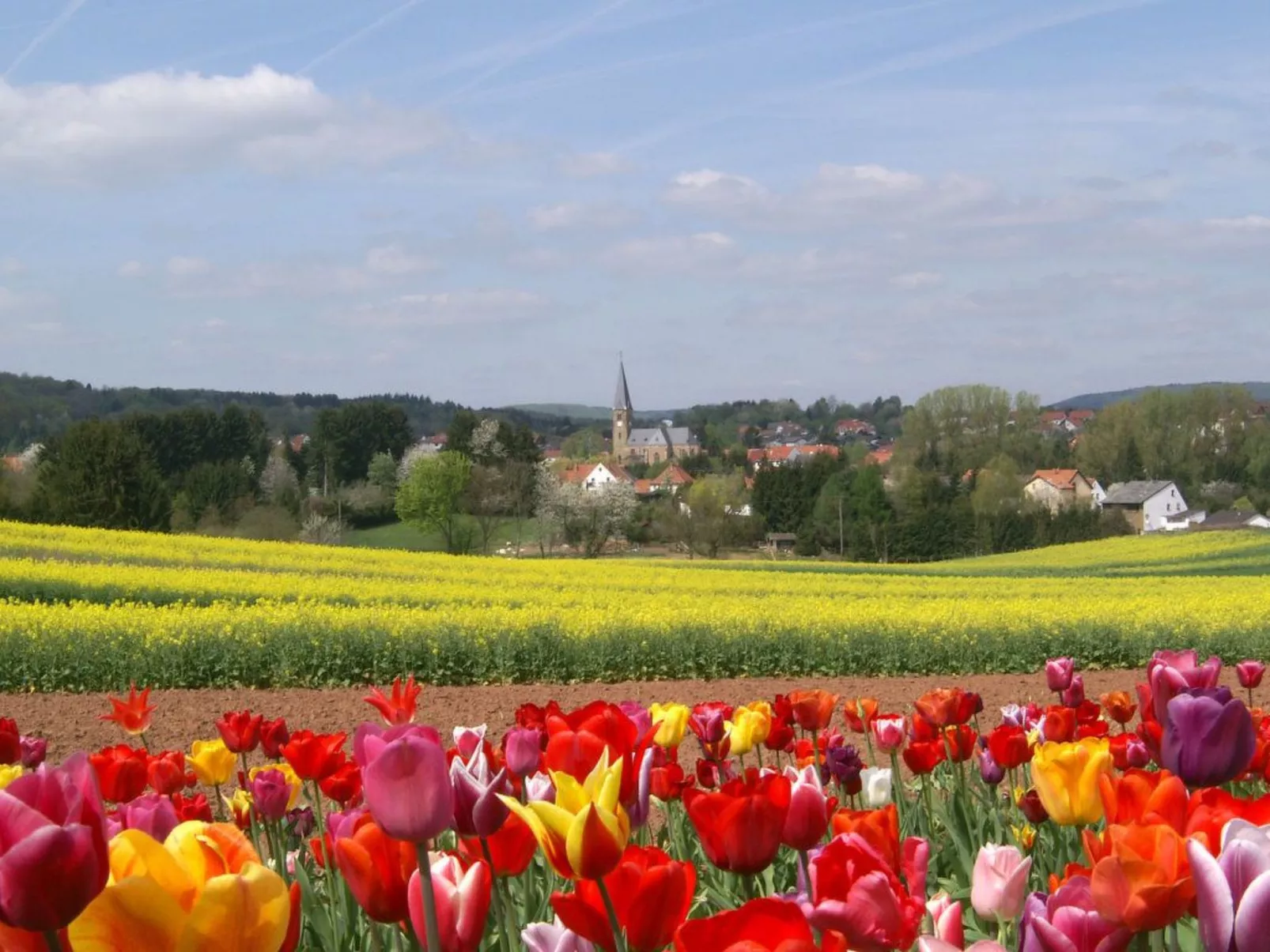 Ferienwohnung-Buiten