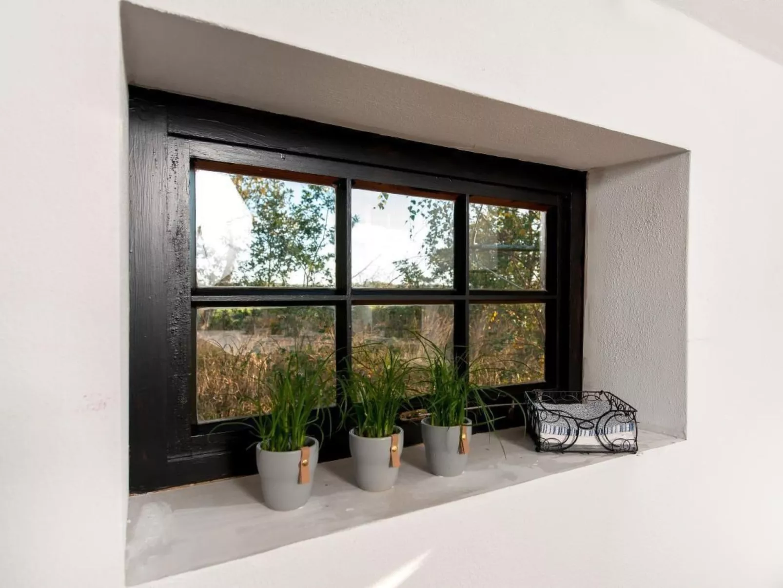 Reethaus Jadebusen-Buiten