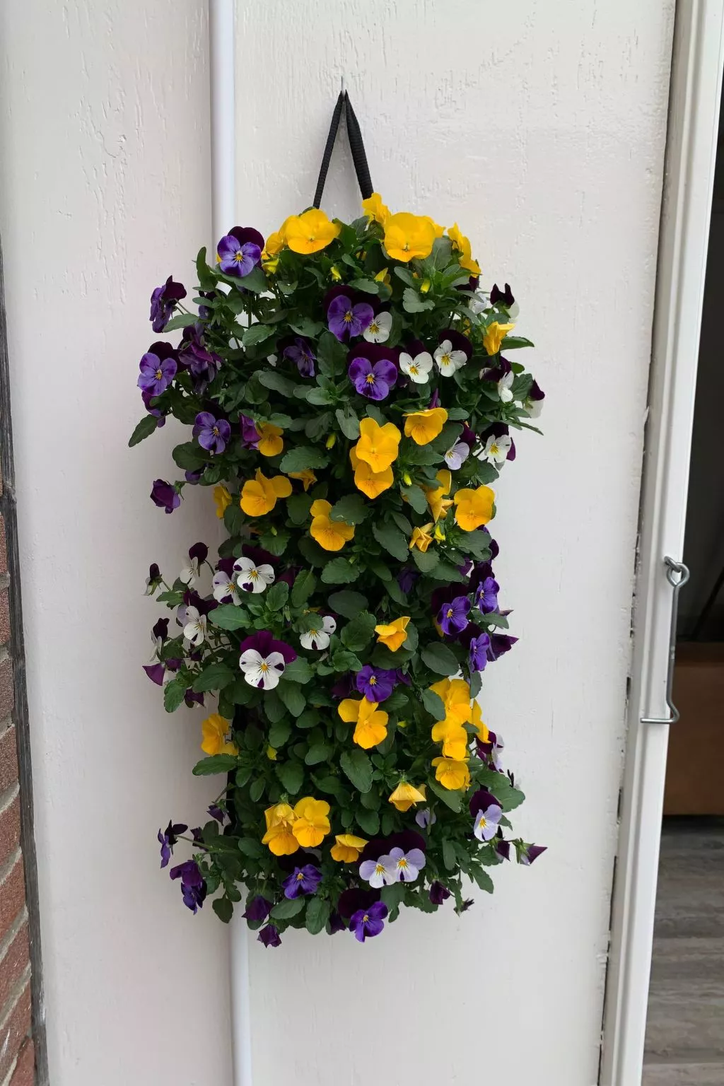 Zaandam in der Nähe aller niederländischen Sehenswürdigkeiten