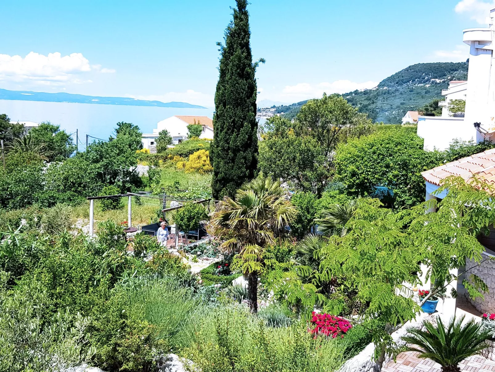 Tolle Wohnung in Drašnice mit Schönem Garten-Buiten
