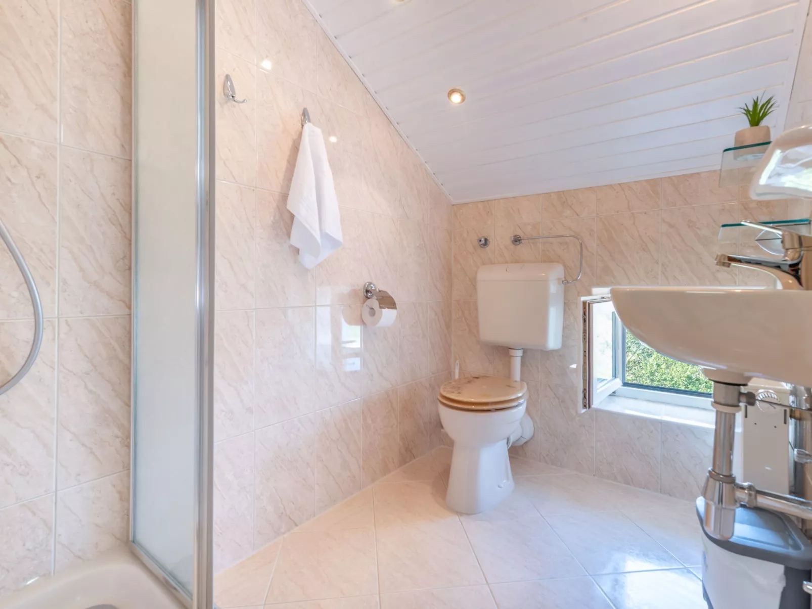 Marinka-Image-tags.info