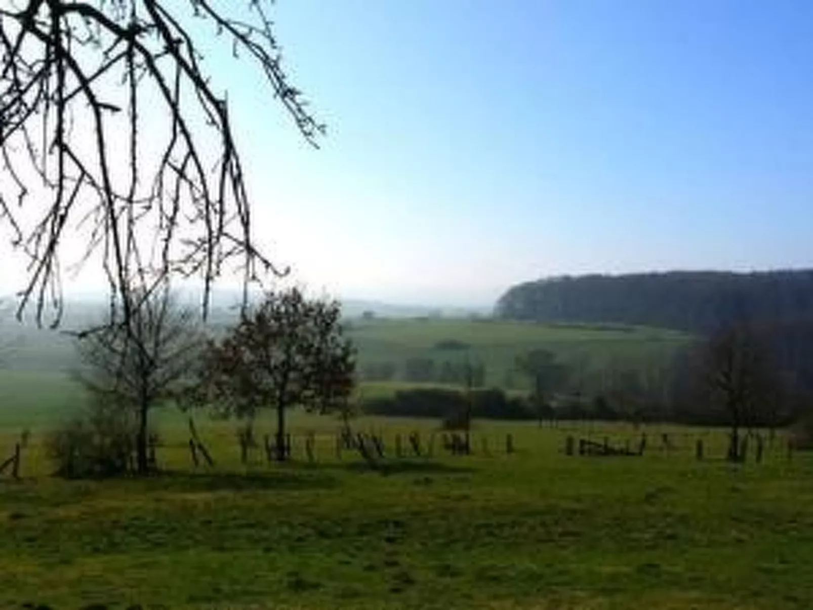 Reitz-Image-tags.info