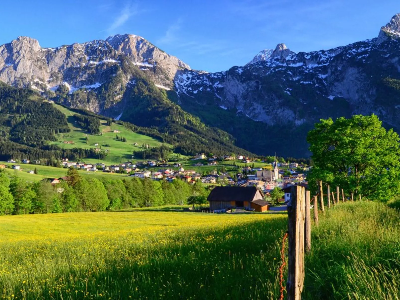 Diamant-Image-tags.info