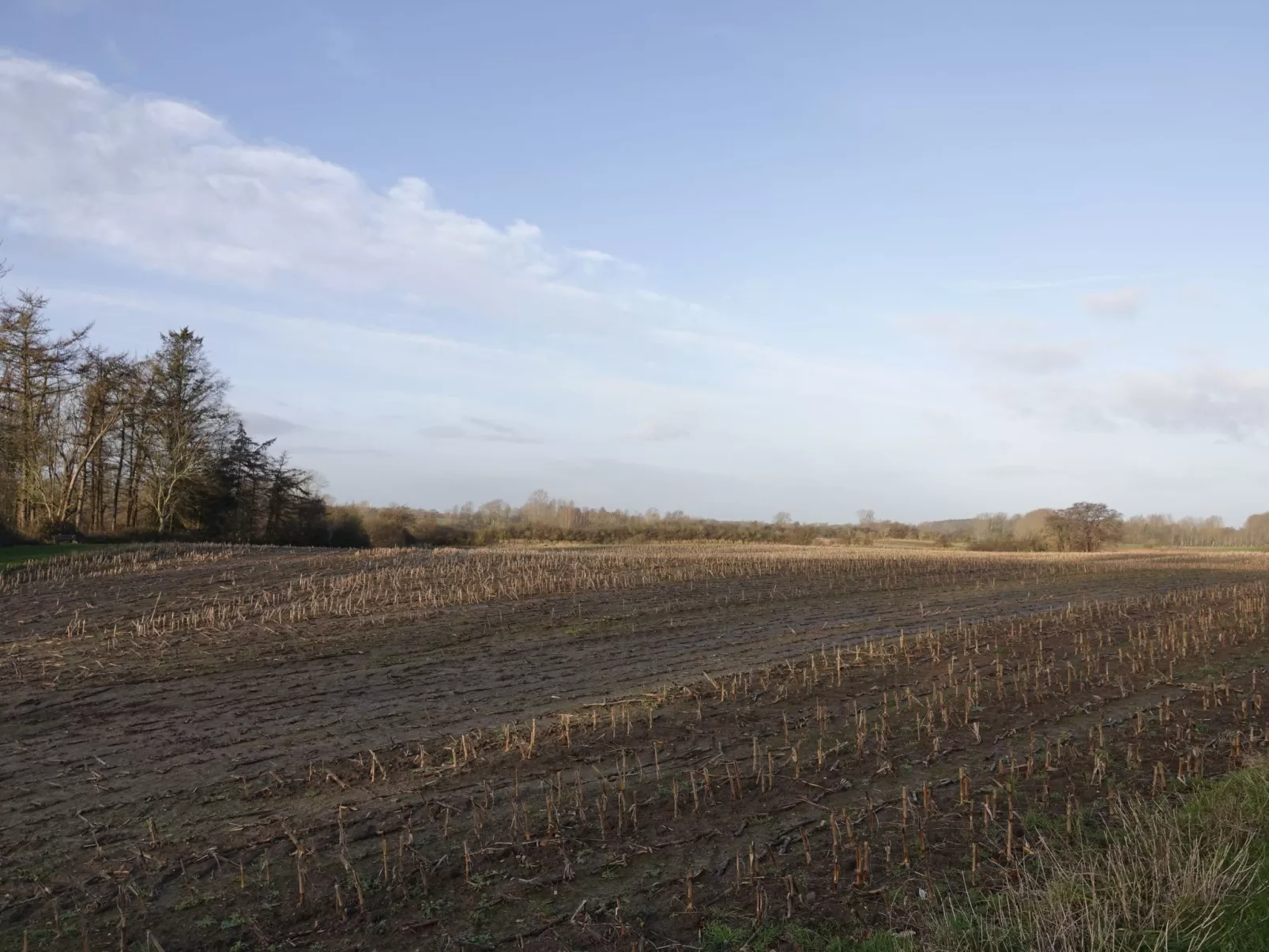 Hygge hus, tolle Ostseelage, freier Blick auf Felder-Buiten