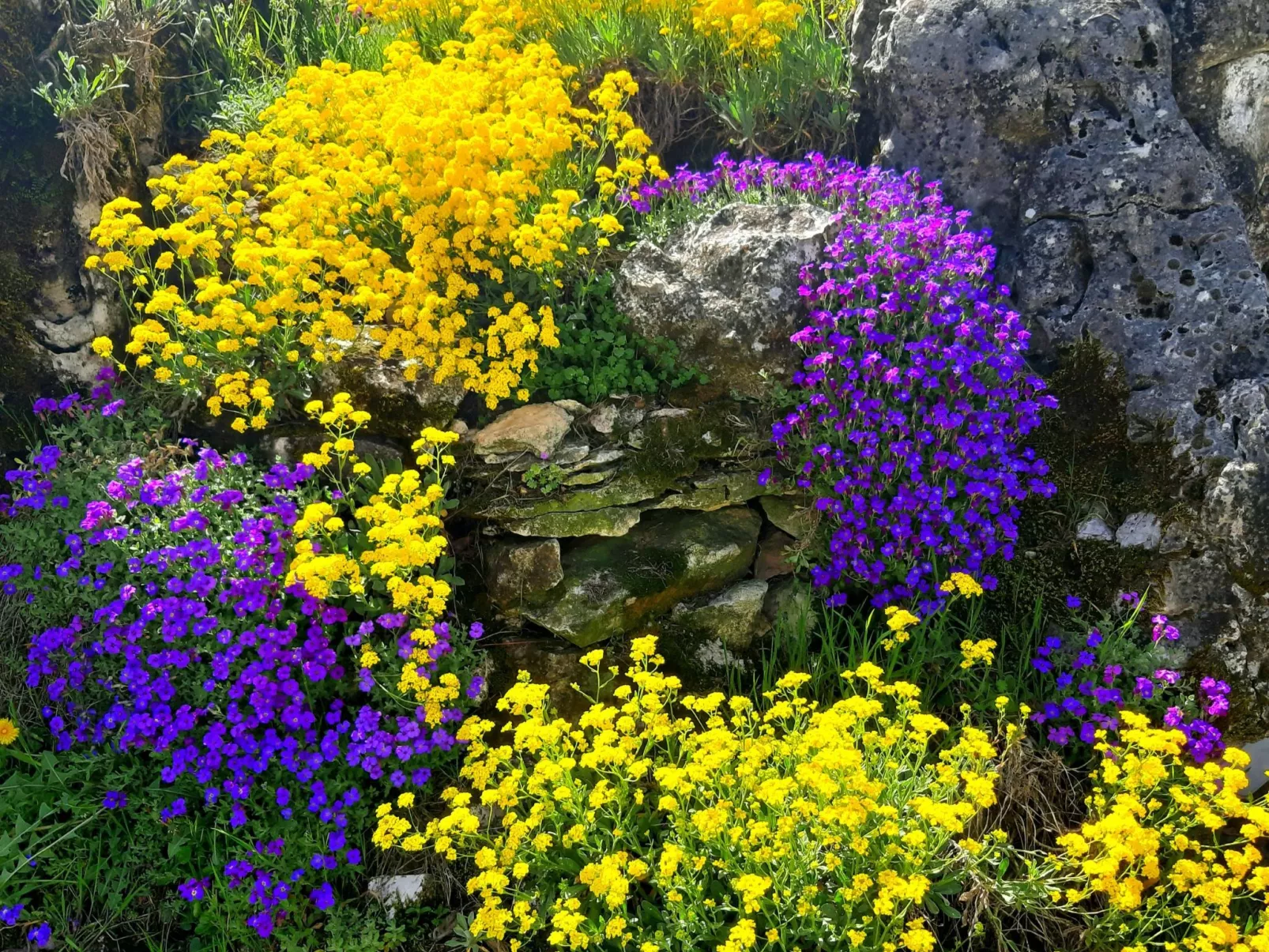 Romantische Villa mit weitläufigem Garten-Buiten