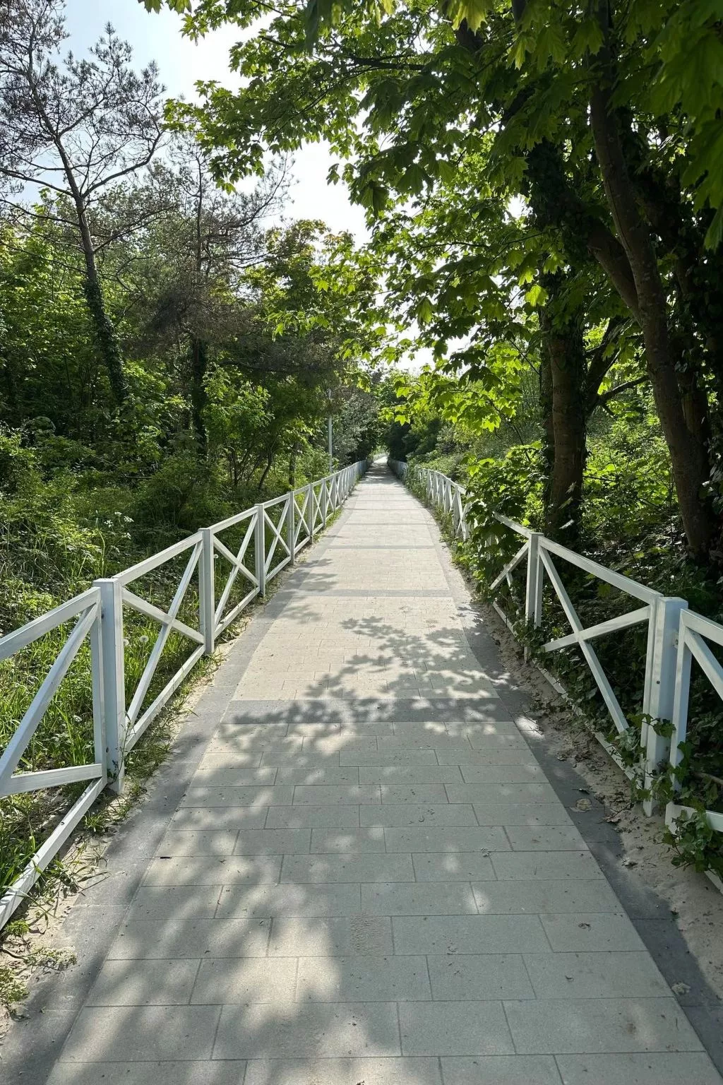 Welle in Dziwnow-Buiten