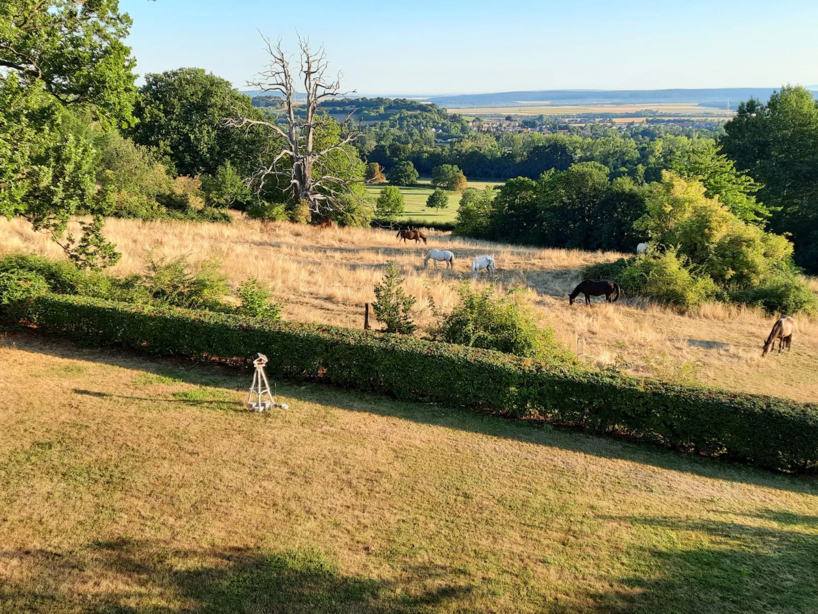 Villa Silberborn A.9 - Image-tags.info