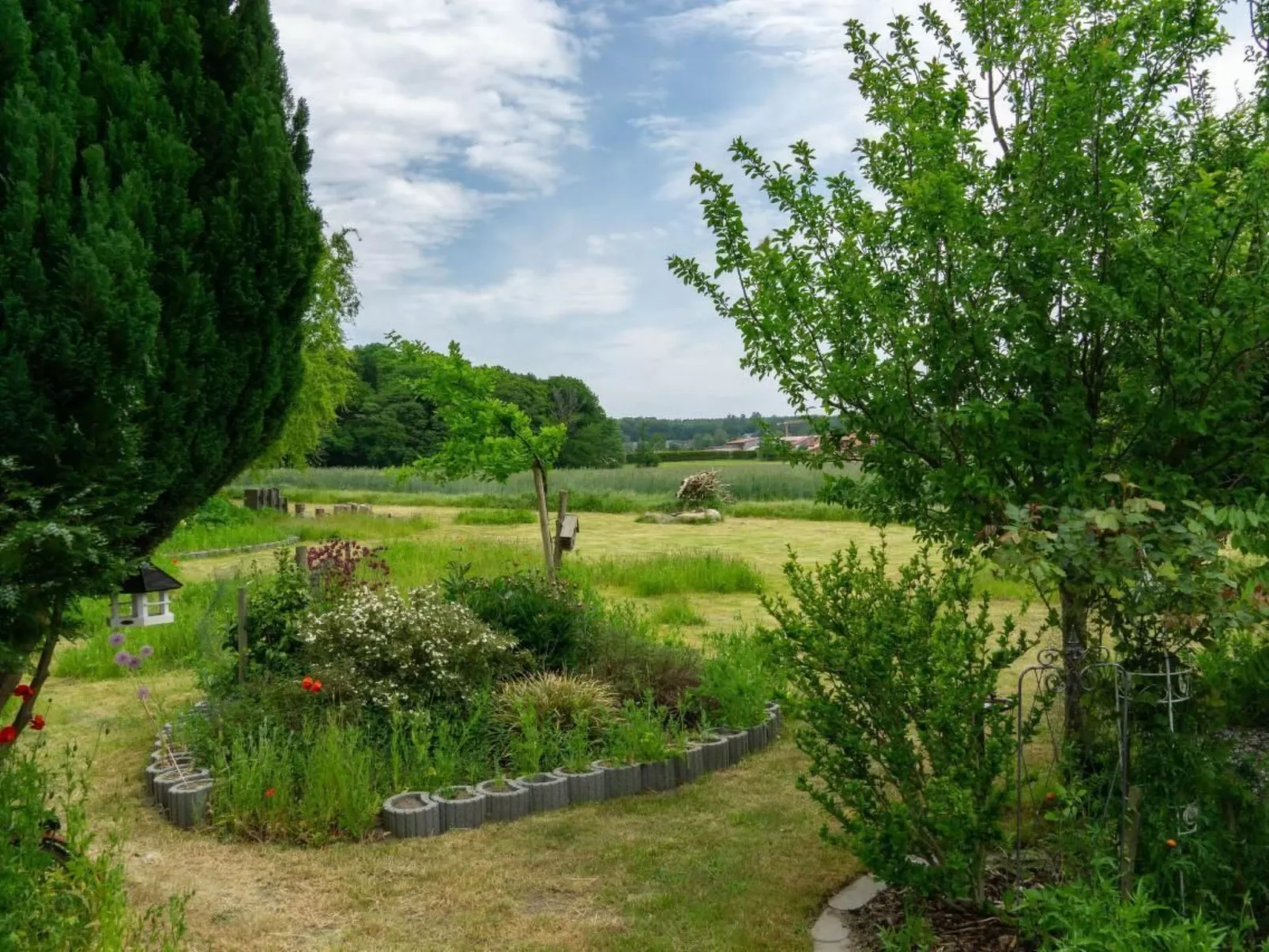 Schmetterling-Buiten