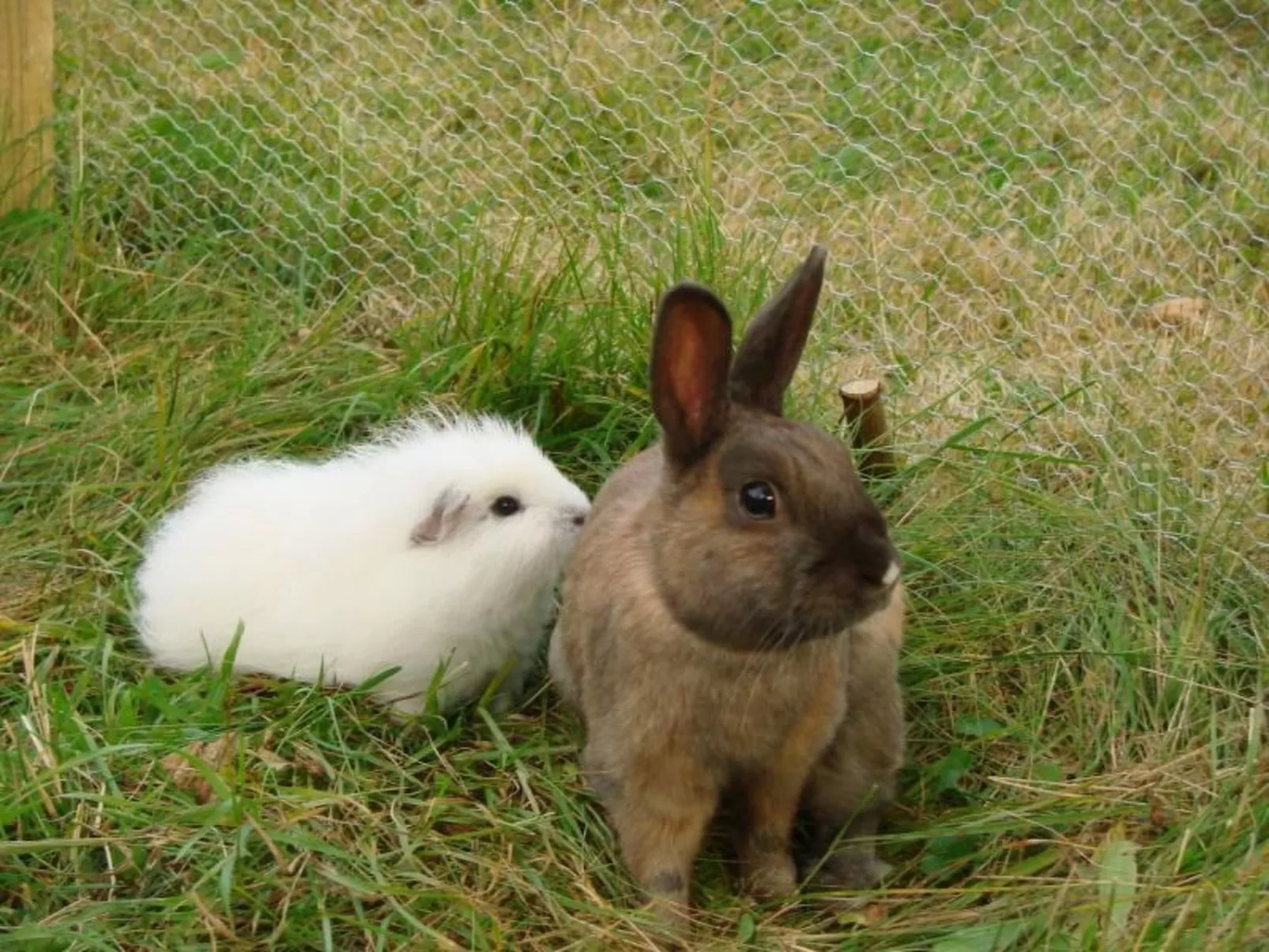 Große Wohnung in Weißenstadt-Image-tags.info