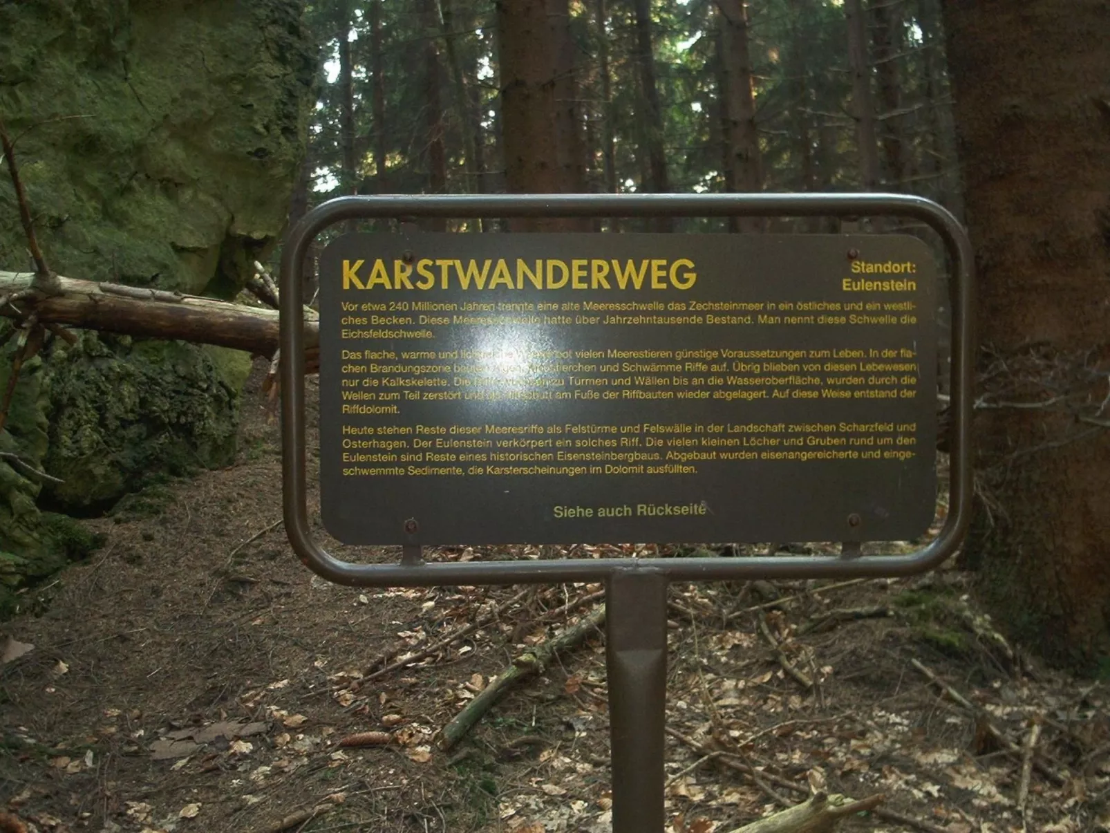 Fewo Stricker 13-Buiten