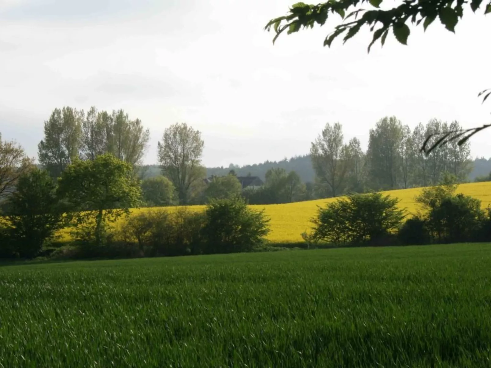 Hof Rodenkrog Fewo 1-Buiten