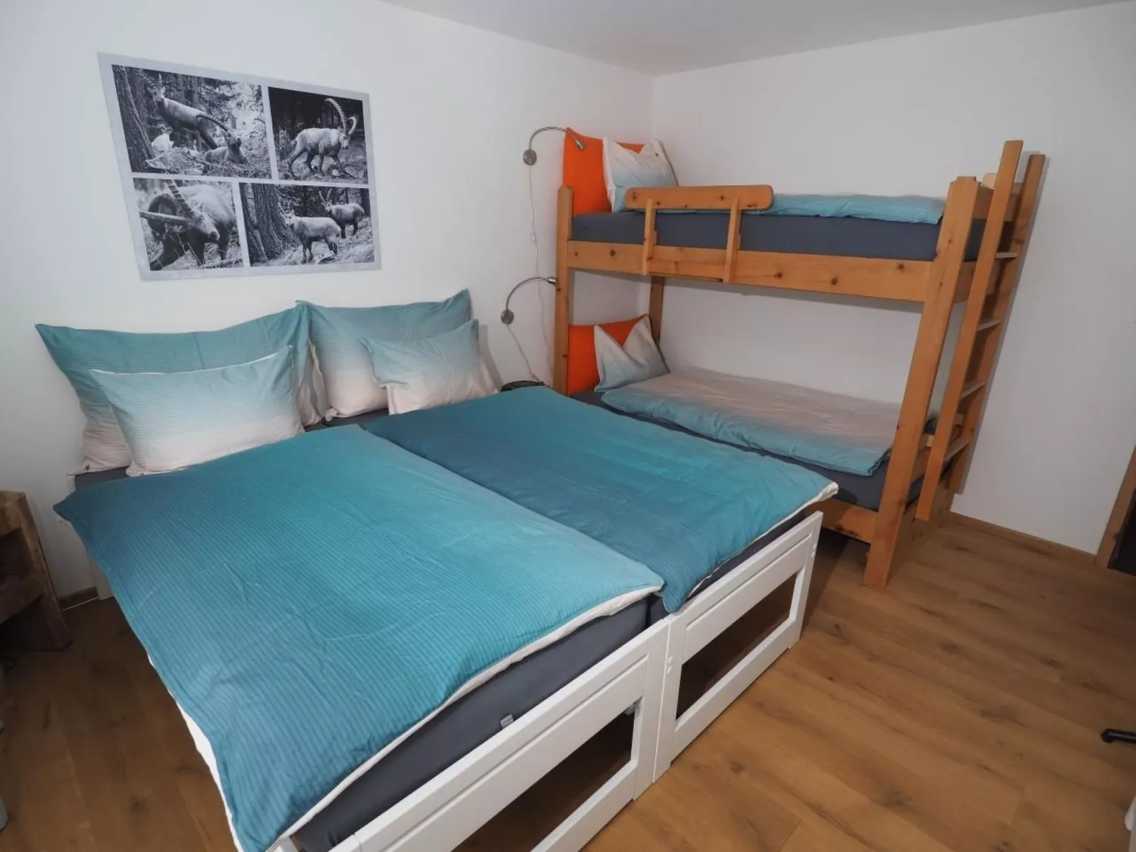 Chavallera 25-Binnen