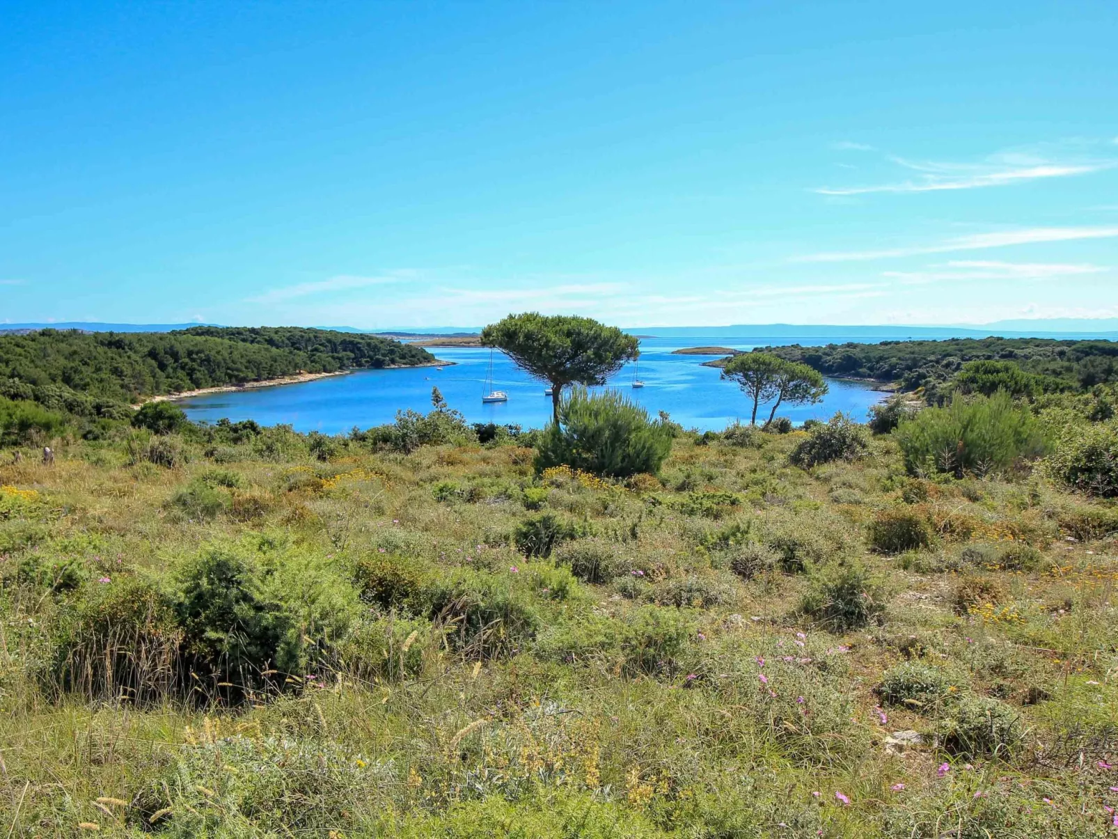 MA Premantura Luxusappartement Nr. 1 mit Terrasse und Parkplatz für 2+2 Persone-Image-tags.info