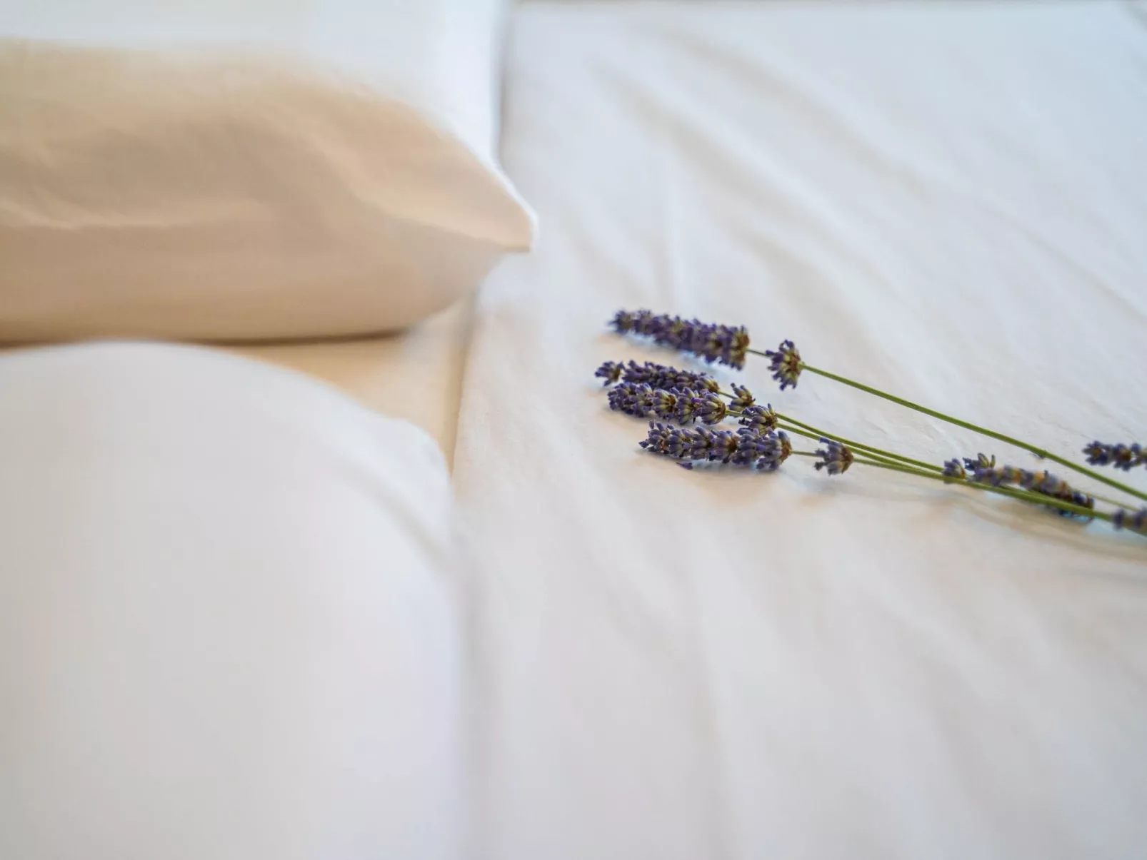 "Darko" mit Balkon-Binnen