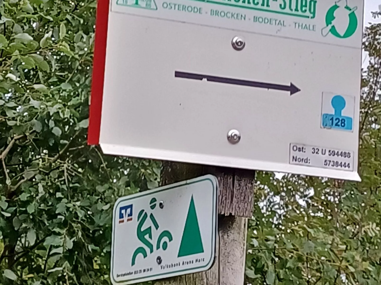 Walli OG Hahnenklee-Buiten