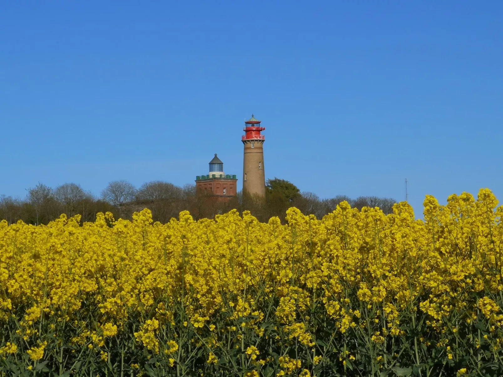 Reethaus Meeresbrise-Buiten