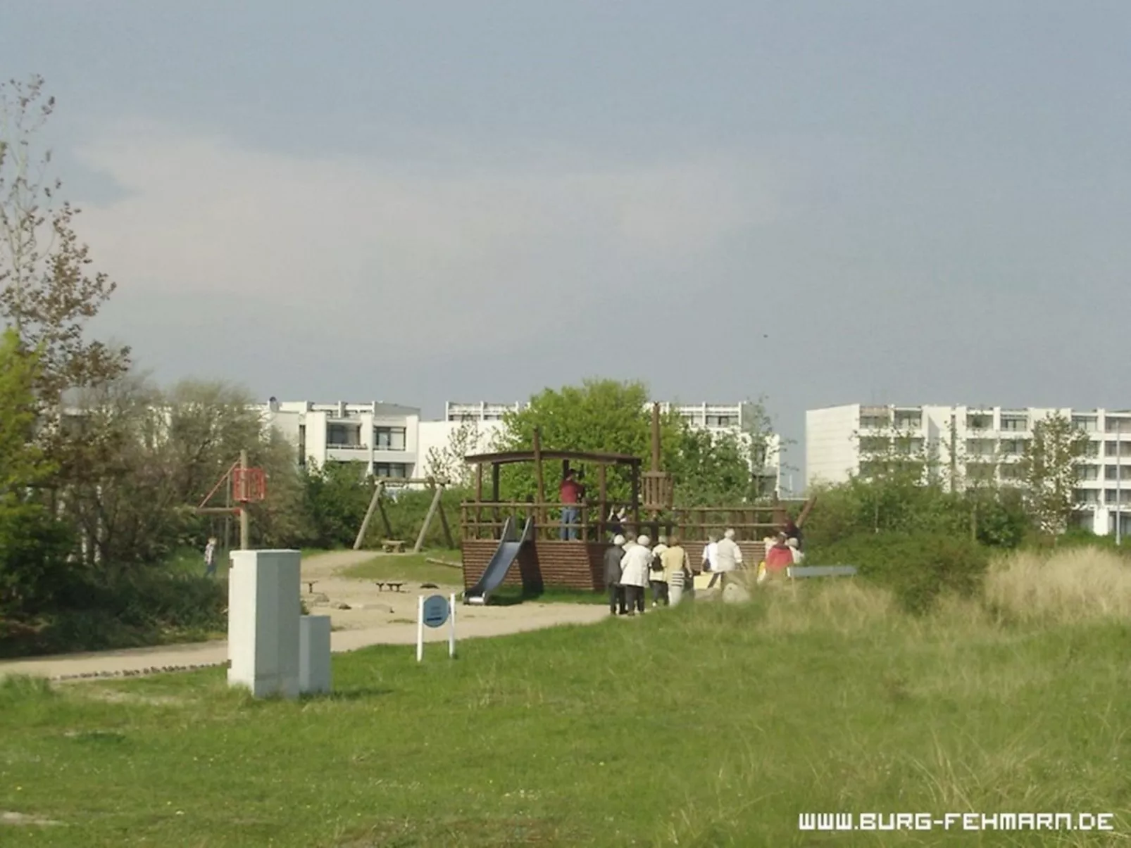 Zwergmöwe in Neue Tiefe-Image-tags.info