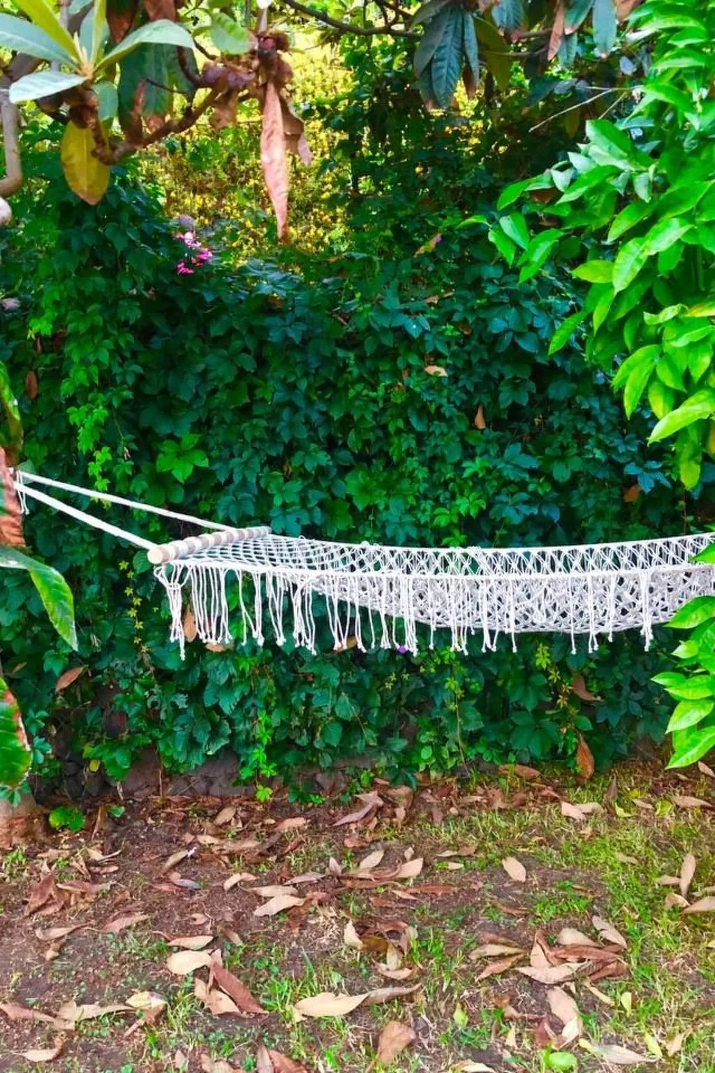 Villa mit Wasserblick-Buiten