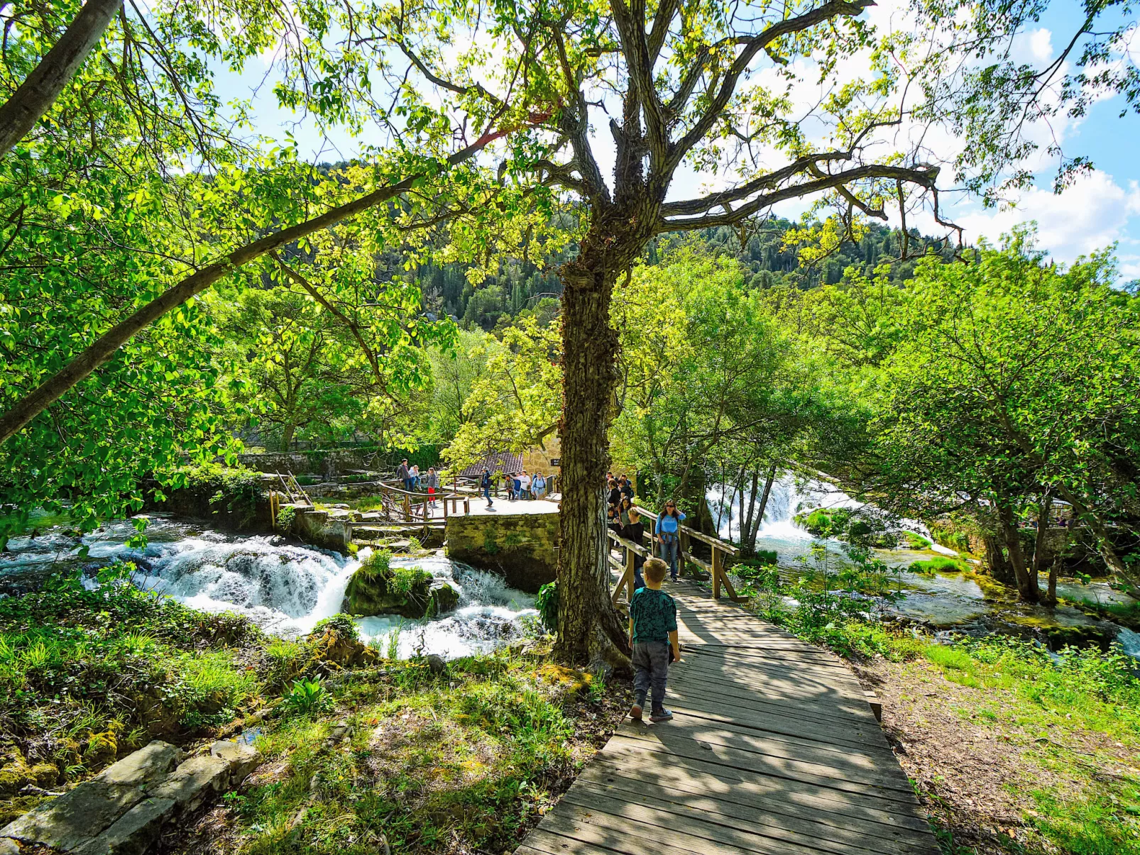 Die Höfe der Villa Ivan-Omgeving