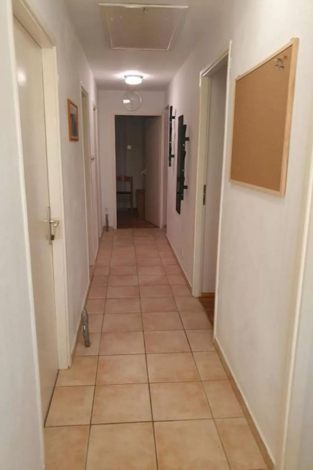 "Nikica" mit Blick auf das Meer-Image-tags.info