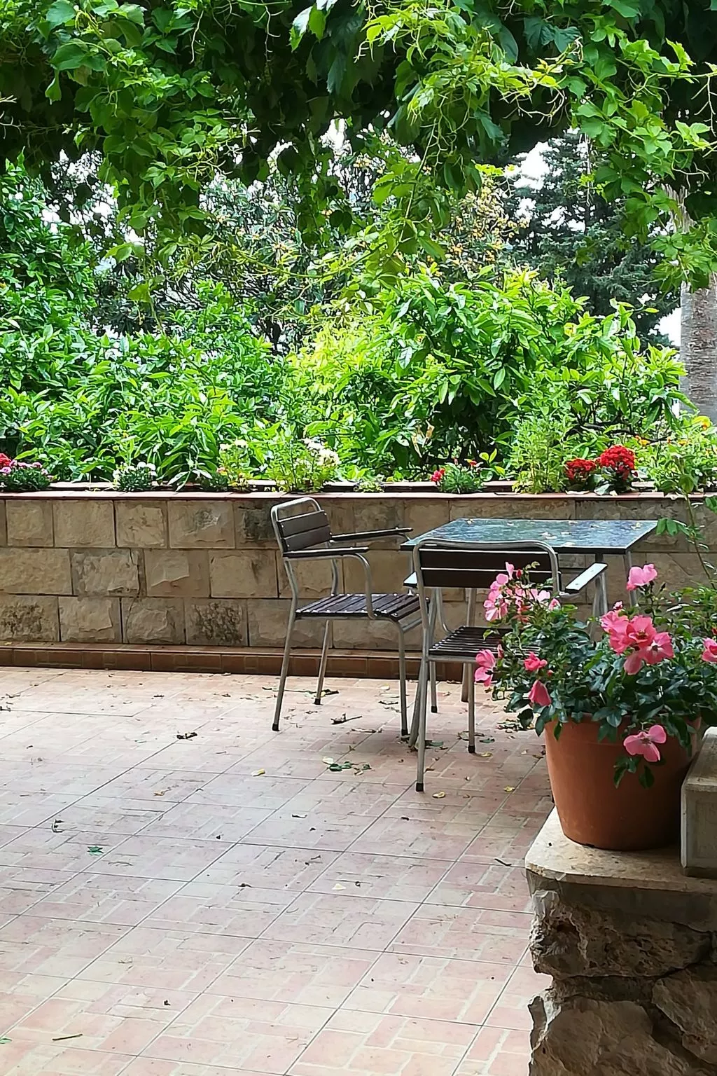 Für 3 Personen ca. 30 m&sup2; in Dubrovnik, Dalmatien (Dubrovnik-Neretva)