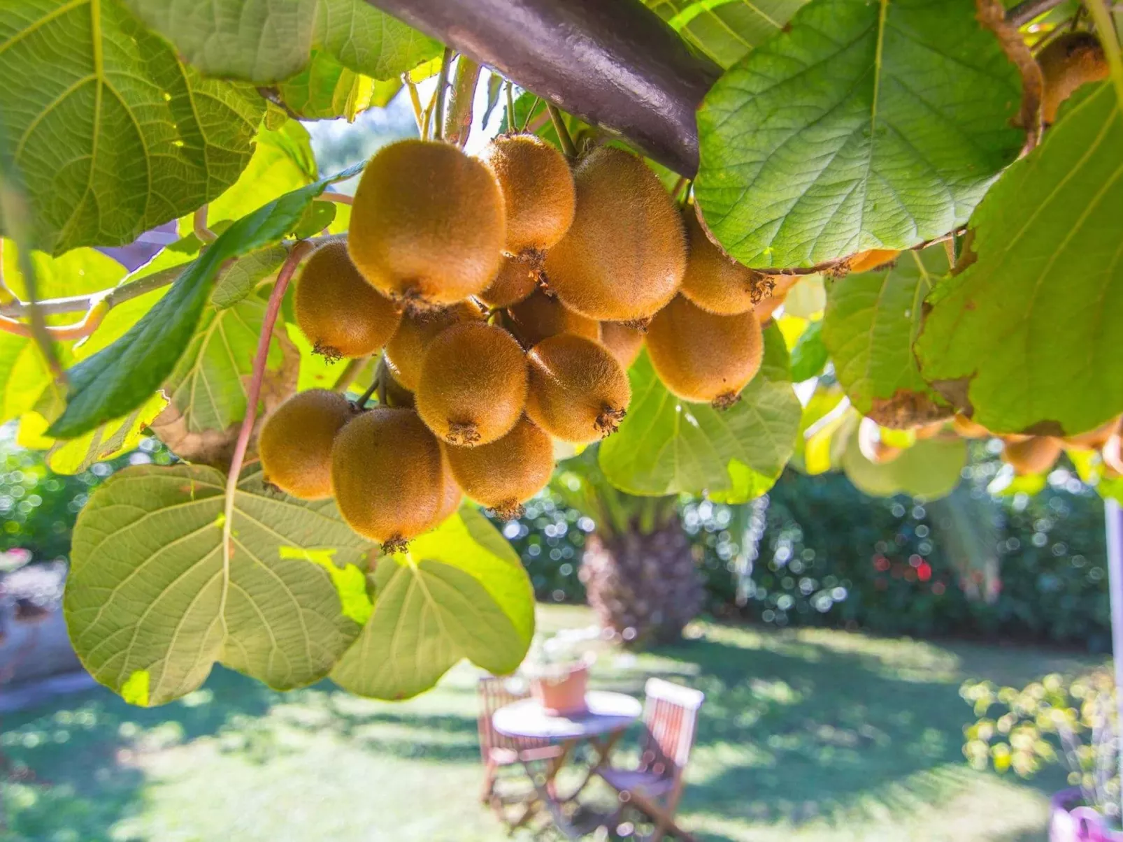 Gemütliche Wohnung mit Gartenblick-Buiten