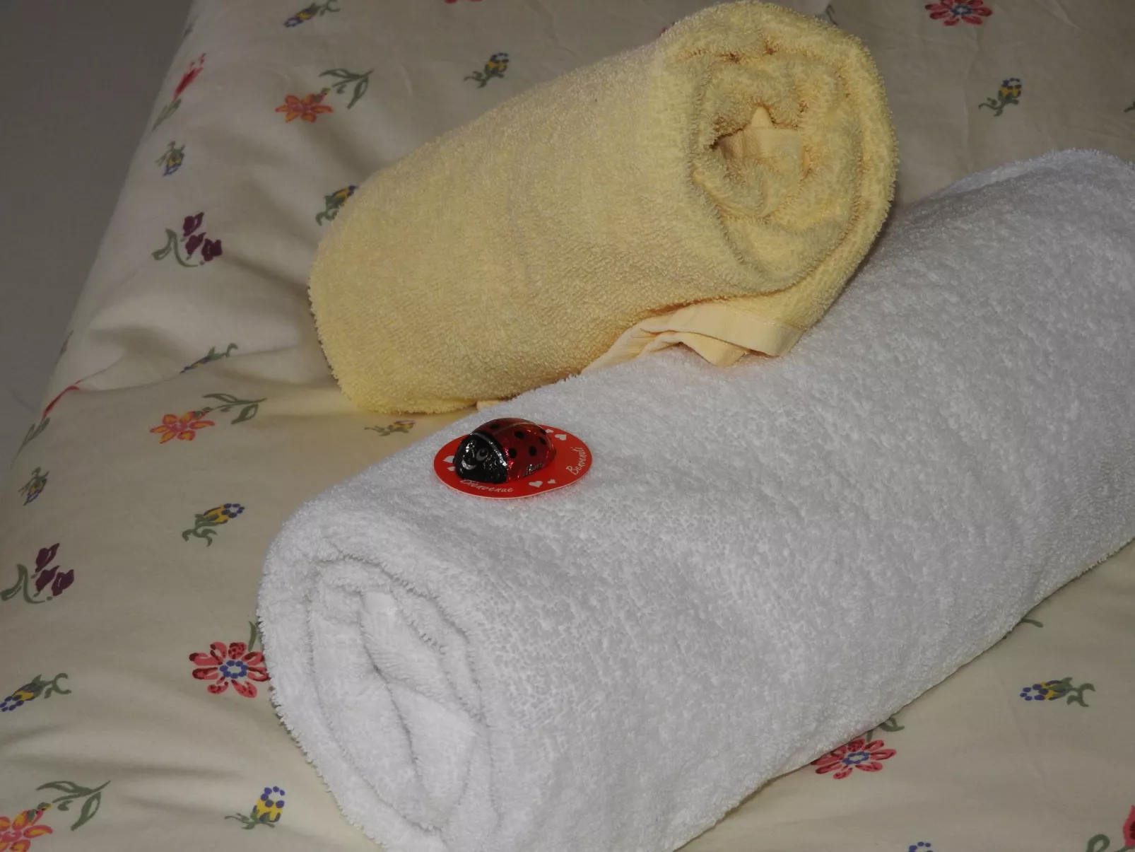 Appartement in Wildschönau-Niederau-Binnen