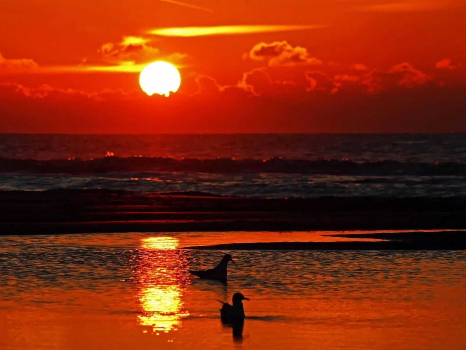 "Windhoos" mit privatem Garten und Terrasse-Image-tags.info