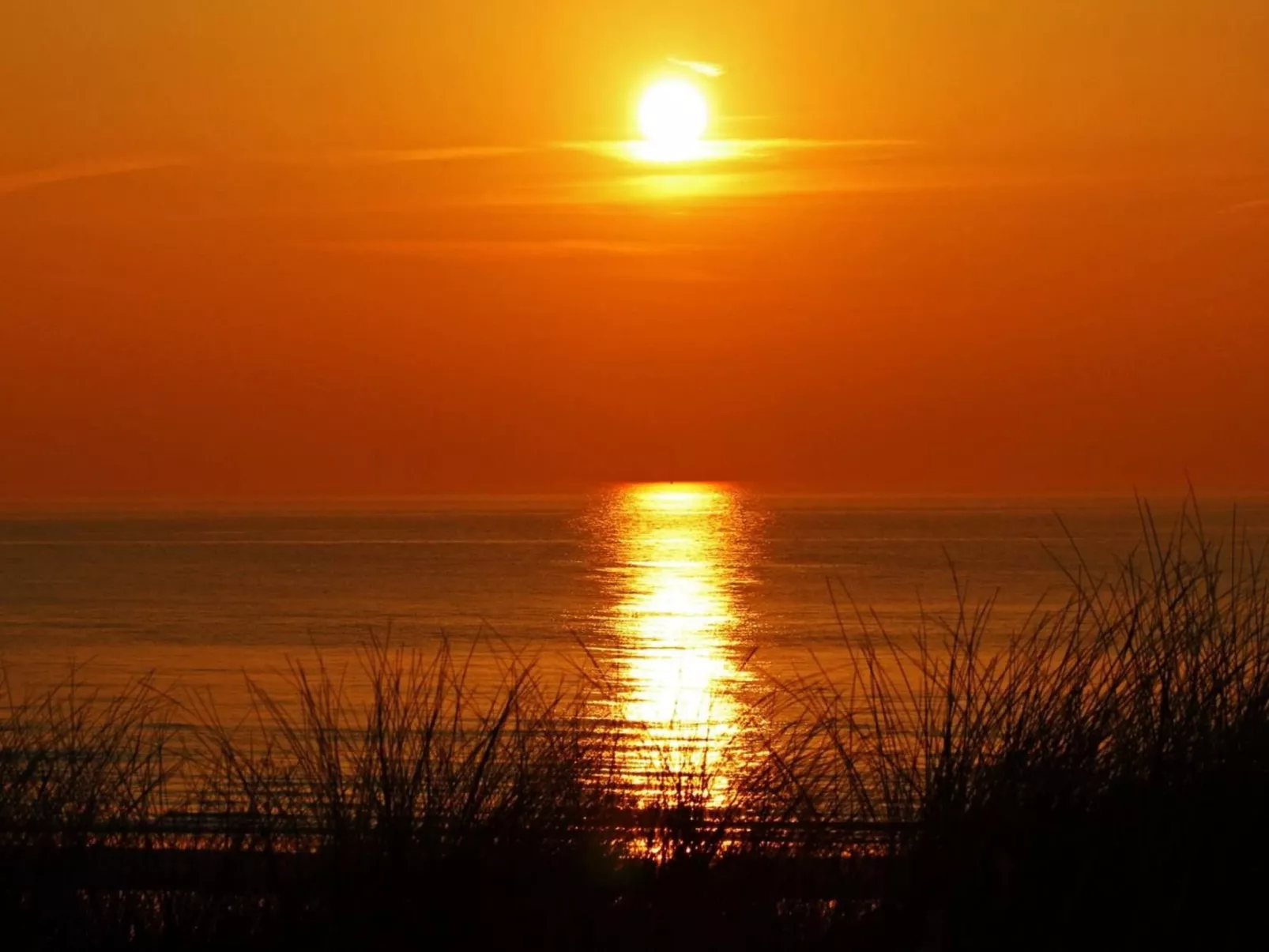 Sommerhaus Klein Wimmenum, Nähe Strand und Dünen-Buiten