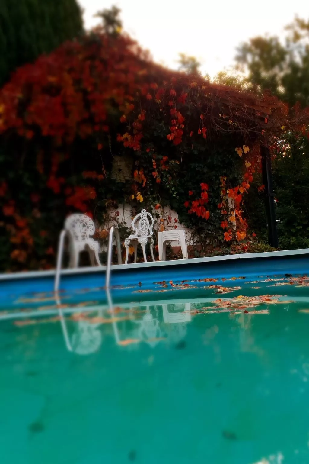 In Glashütt mit Finnischer Sauna-Buiten