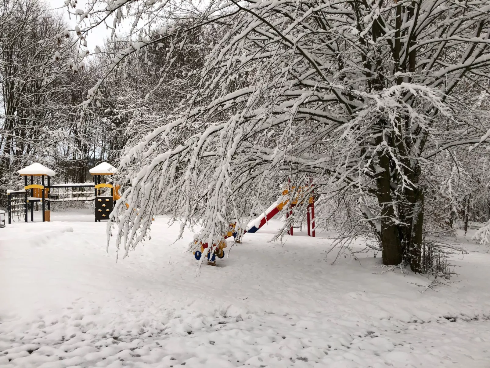 Wunderschönes Ferienhaus am Waldrand-Buiten